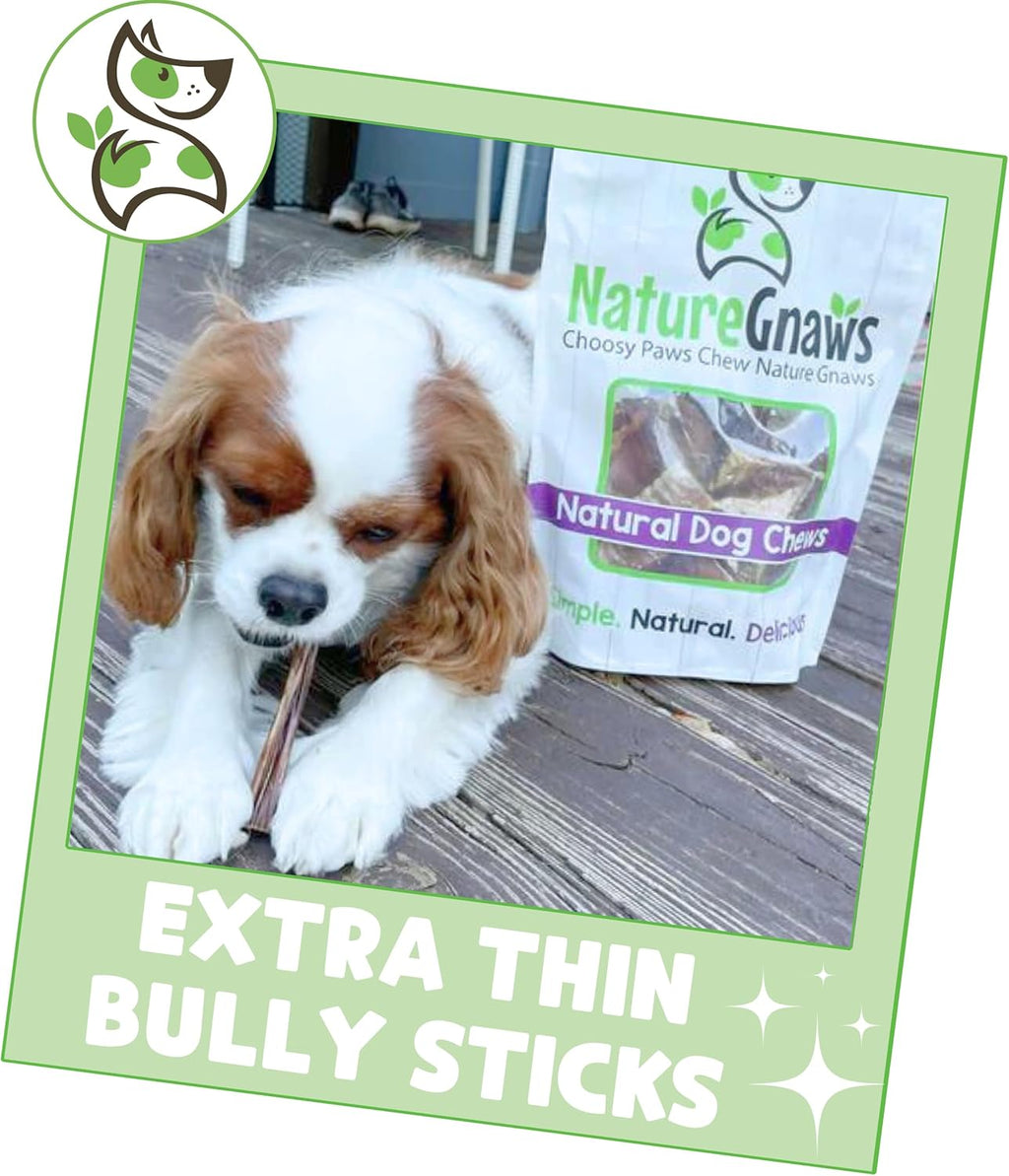 Nature Gnaws Extra Thin Bully Sticks for Small Dogs 5-6" (10 Count) - Long Lasting for Light Chewers and Puppi - view 4