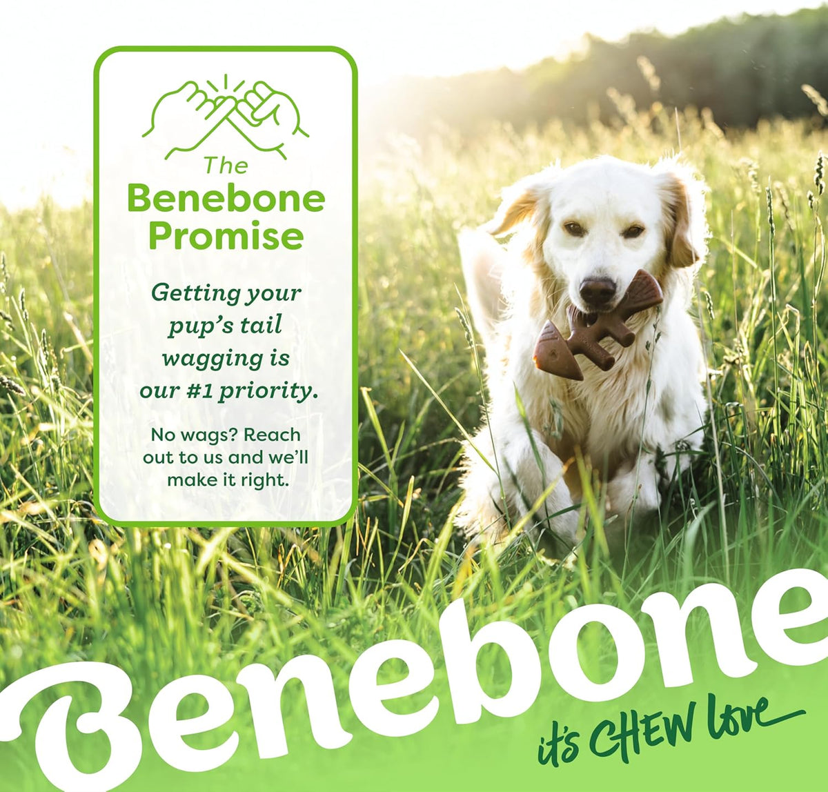 Benebone Fishbone Durable Dog Chew Toy for Aggressive Chewers, Real Fish, Made in USA, Medium - view 5