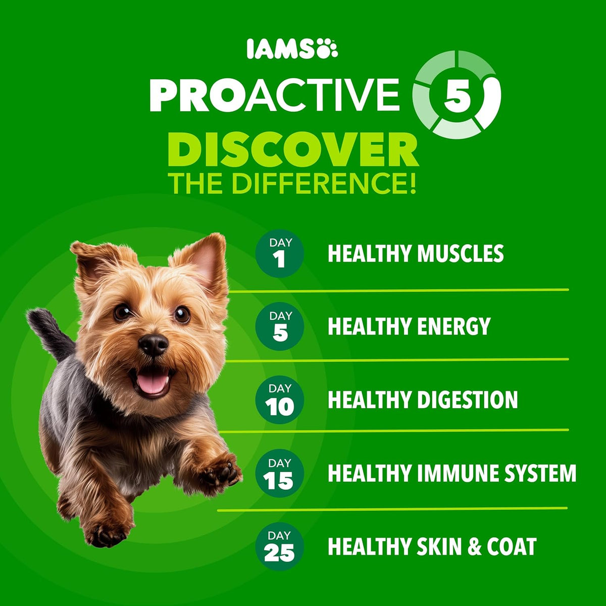 IAMS Proactive Health Small Breed Adult Dry Dog Food Chicken & Whole Grain Recipe, 7 lb. Bag - view 2