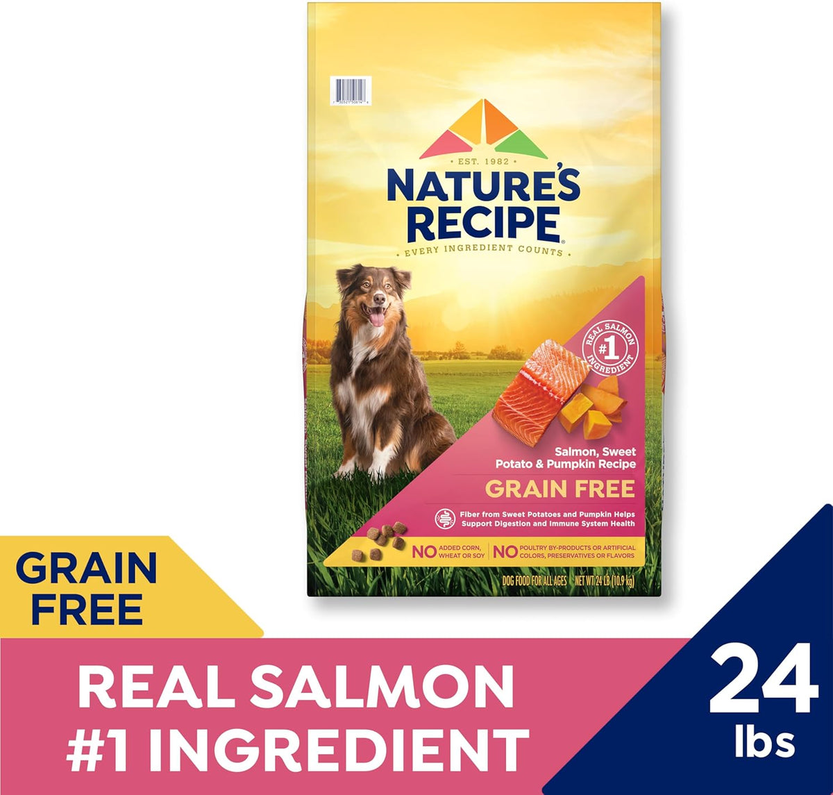 Nature’s Recipe Grain Free Dry Dog Food Salmon, Sweet Potato & Pumpkin Recipe, 24 lb. Bag - view 2