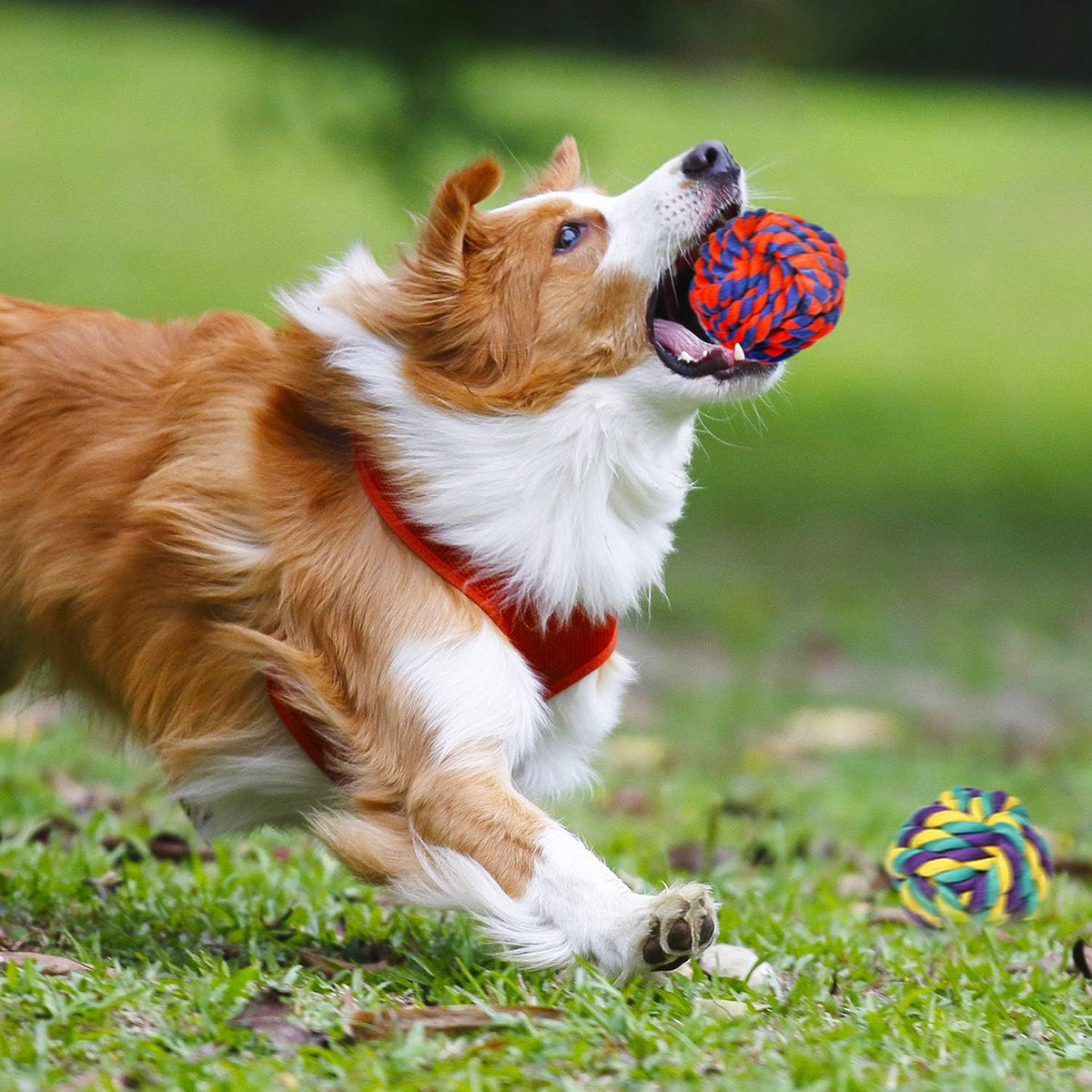 SHARLOVY Large Tough Chew Toys for Aggressive Chewers Large Breed,Heavy Duty Dental Rope Toys Kit for Medium D - view 8