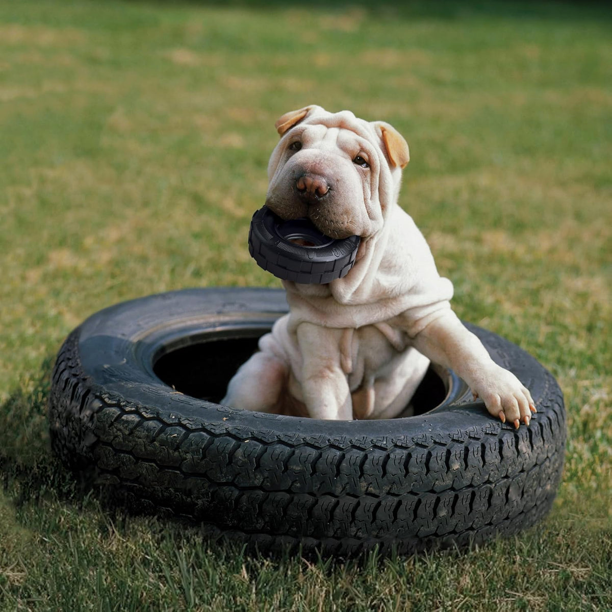 KONG Extreme Tires - KONG's Most Durable Natural Rubber Chew & Fetch Toy - Treat Dispenser Dog Tire Toy - Pet  - view 2