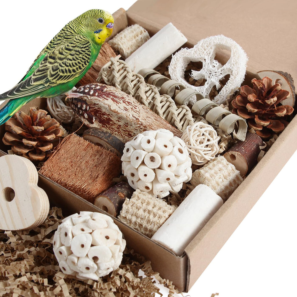 Kyouki Bird Toys Parrot Toys Natural Bird Foraging Box Foot for Parakeets,Cockatiels,Conures,Love Birds,and Ot