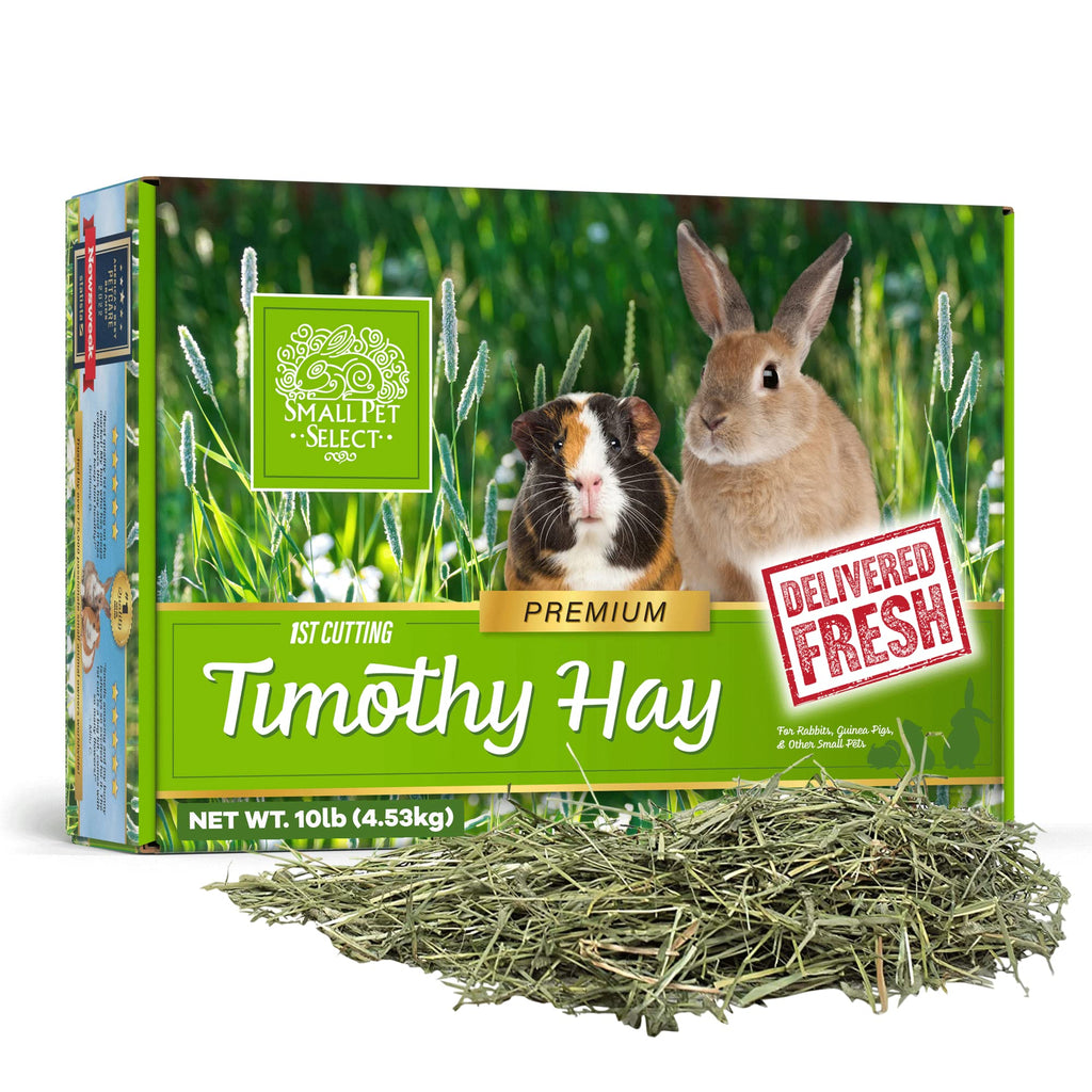 Small Pet Select 1st Cut Timothy Hay Pet Food for Rabbits, Guinea Pigs, and Other Small Animals, Easy to Store