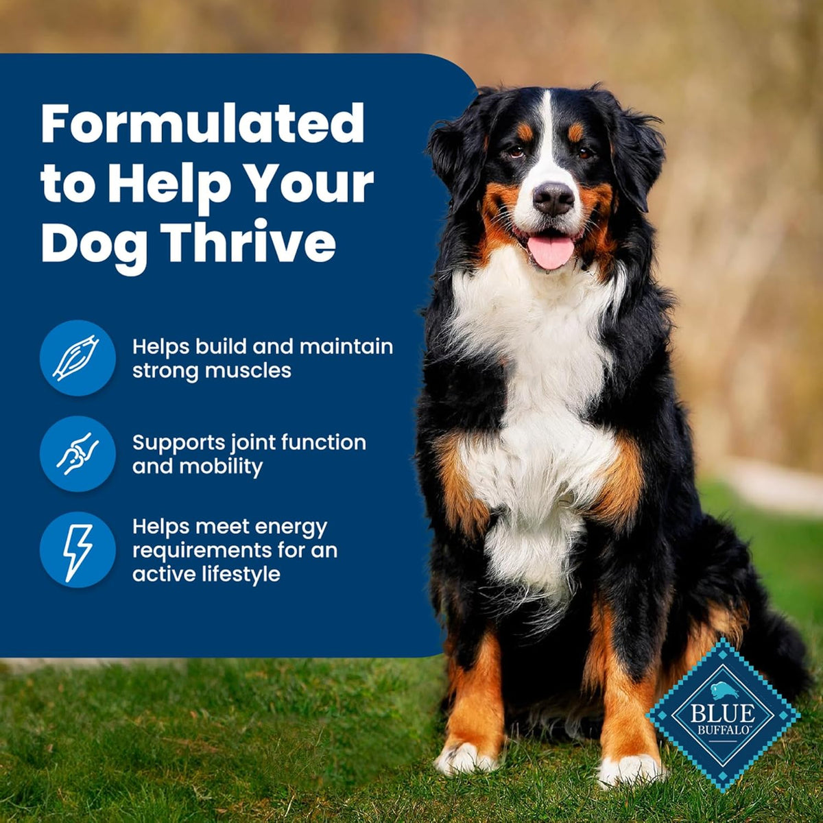 Blue Buffalo Life Protection Formula Adult Dry Dog Food, Helps Build and Maintain Strong Muscles, Made with Na - view 5