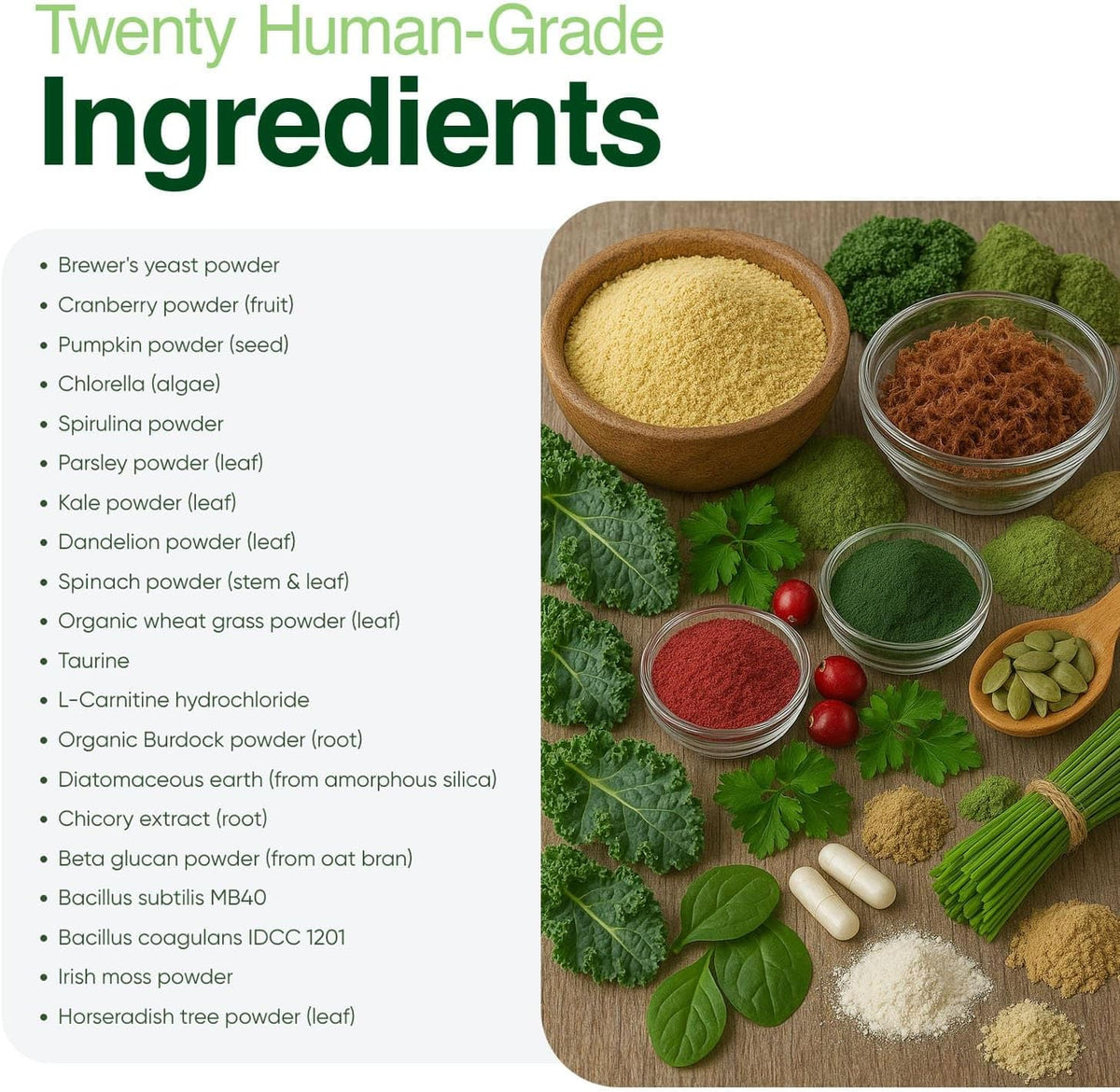 Iron Paws Human-Grade Superfood For Dogs, Premium Greens Powder Supplement For Dental Health, Longevity, Hip & - view 7
