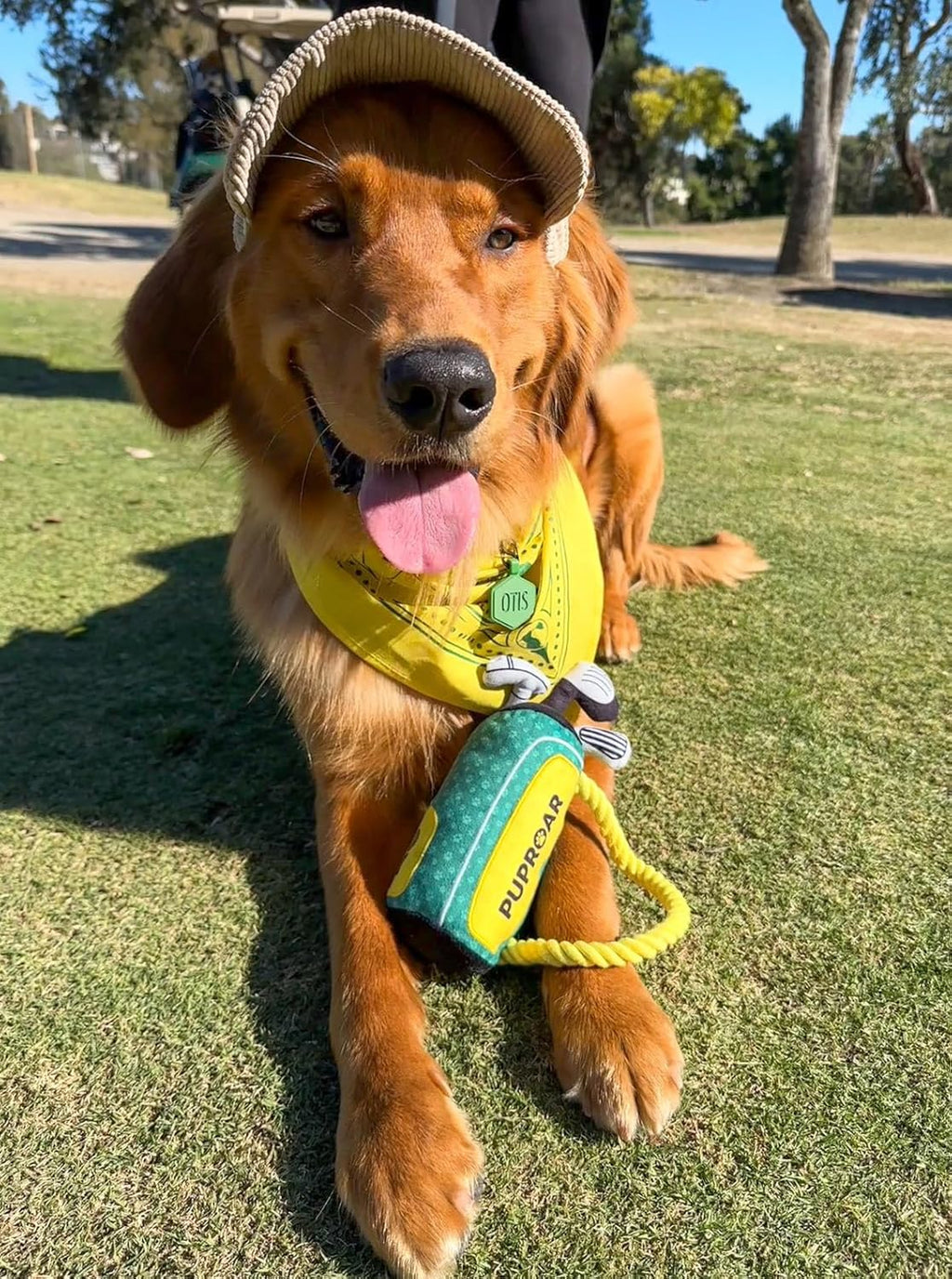 PUPROAR Golf Dog Toy – Funny Dog Christmas & Birthday Gift with Squeaker Rope & Crinkle, Fun & Interactive Pup - view 4