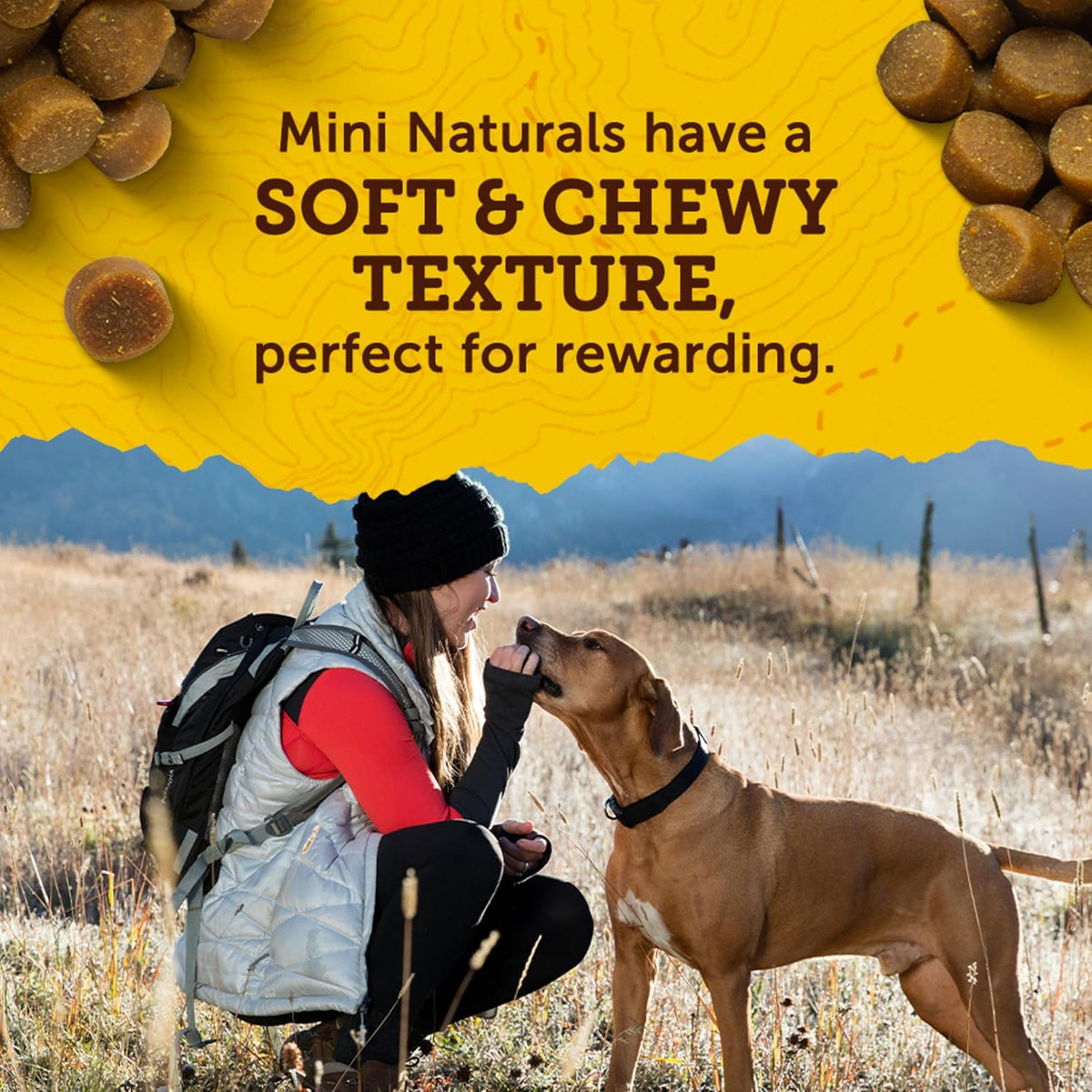 Zuke’s Mini Naturals Dog Training Treats for Dogs, Pet Treats Made with Real Chicken, 16 oz - view 4
