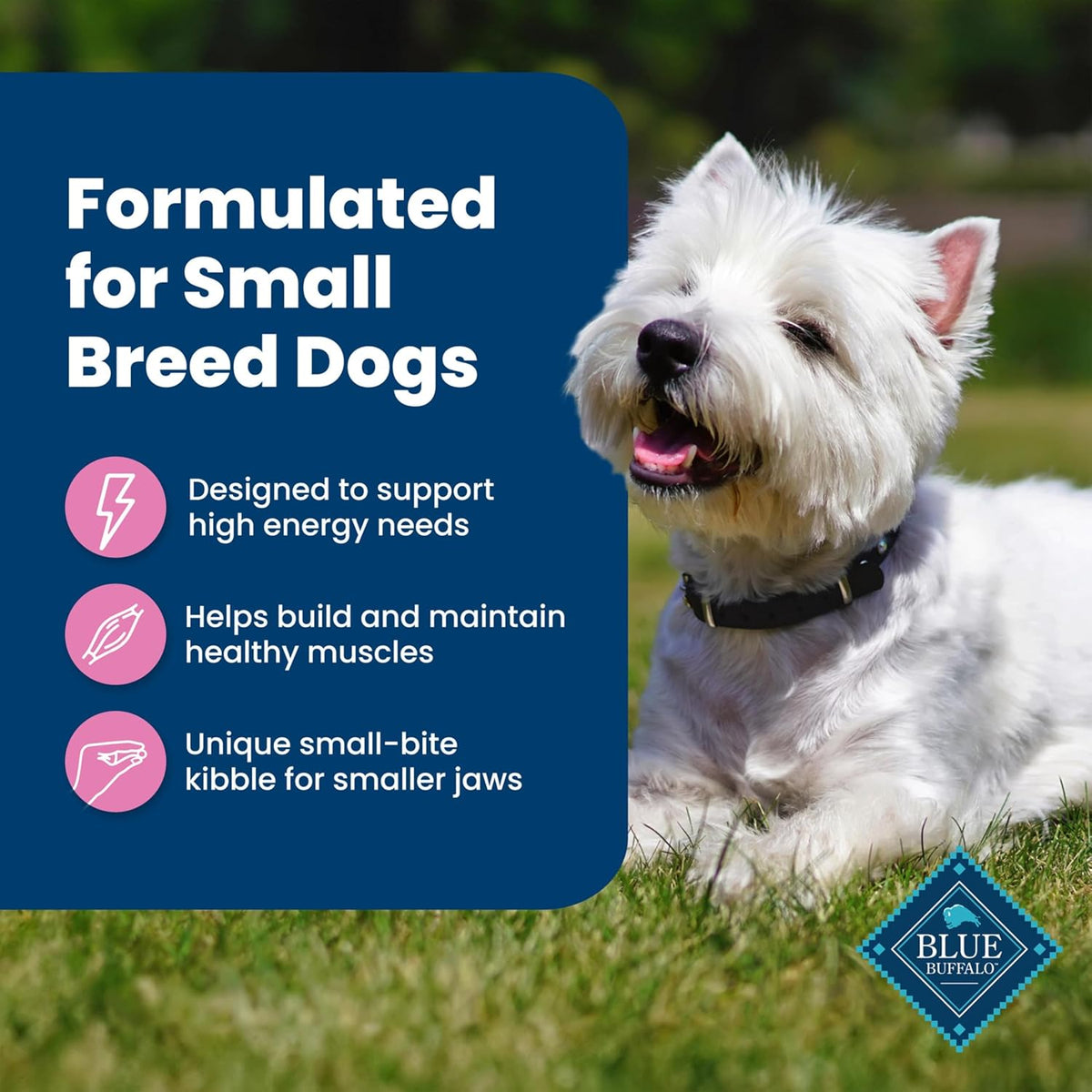 Blue Buffalo Life Protection Formula Adult Small Breed Dry Dog Food, Supports High Energy Needs, Made with Nat - view 5