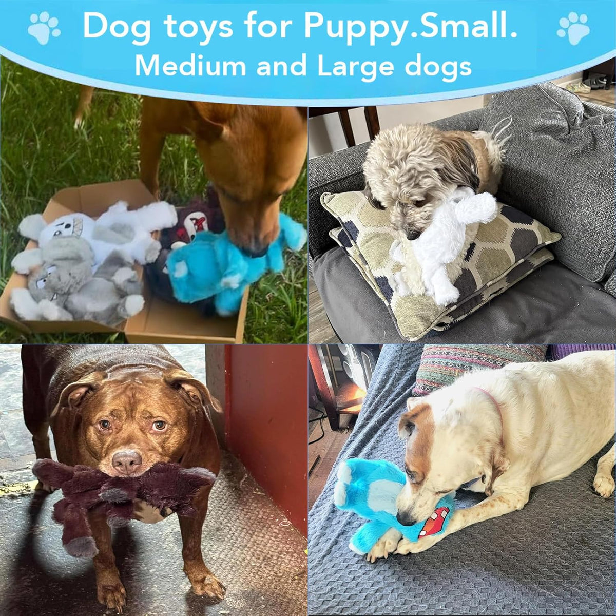 5 Pack Squeaky Dog Toys.Tough Plush Chew Toys for Dogs.Interactive Dog Toys to Keep Small Medium Large Breed D - view 5