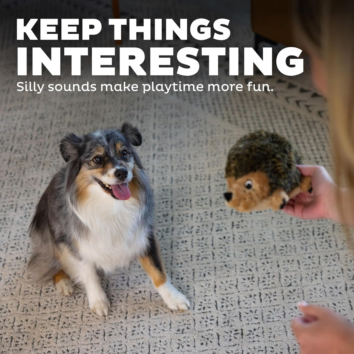 Outward Hound Hedgehogz Stuffed Dog Toy – Soft Plush Hedgehog, Grunts & Squeaks, Medium, 9" x 5" x 6.5" - view 4