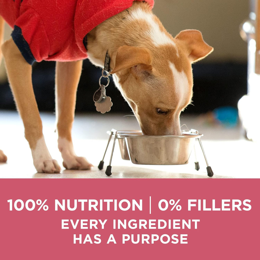 Purina ONE Natural, Sensitive Stomach Dry Dog Food, +Plus Skin & Coat Formula - 31.1 lb. Bag - view 8