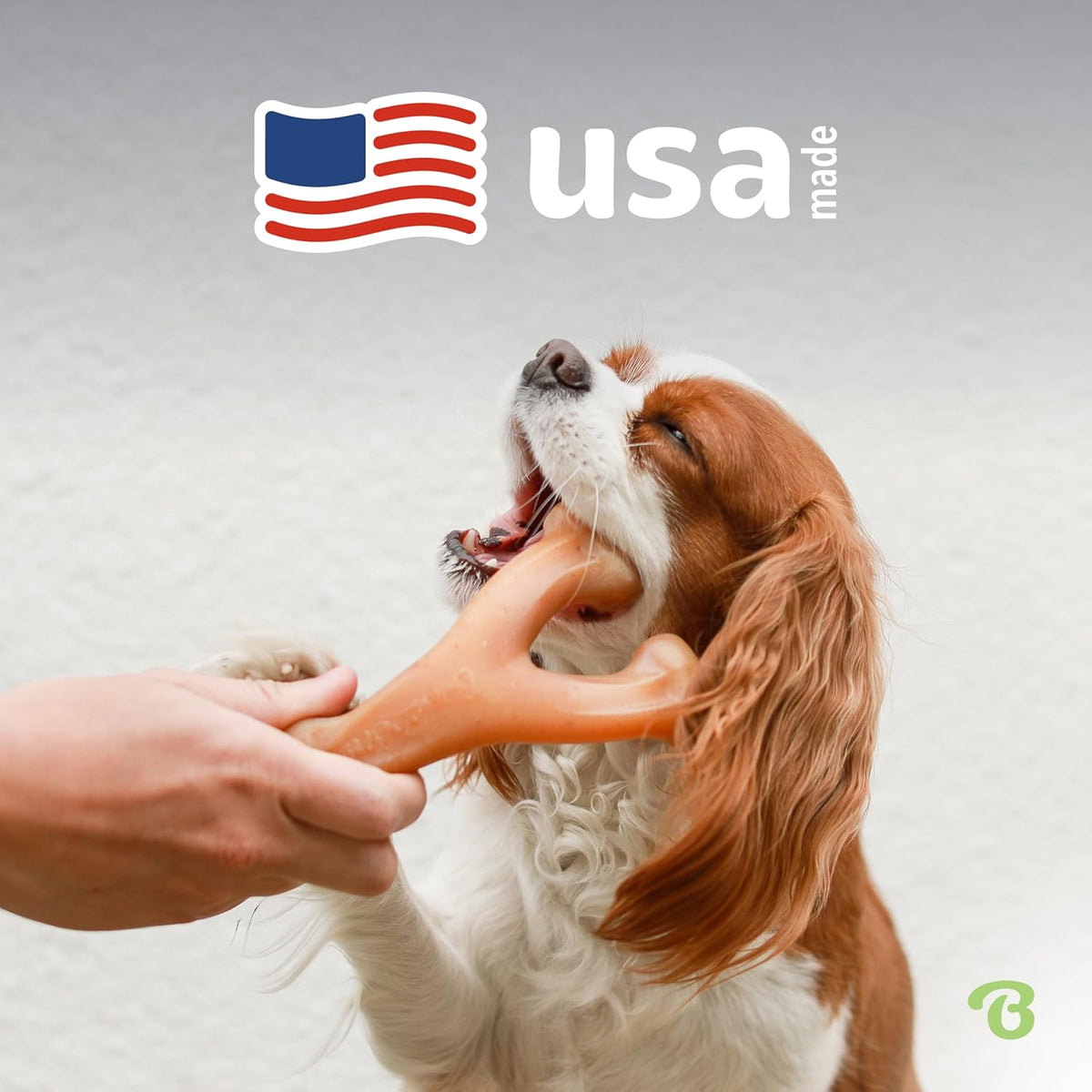Benebone Wishbone Durable Dog Chew Toy for Aggressive Chewers, Real Bacon, Made in USA, Medium - view 5