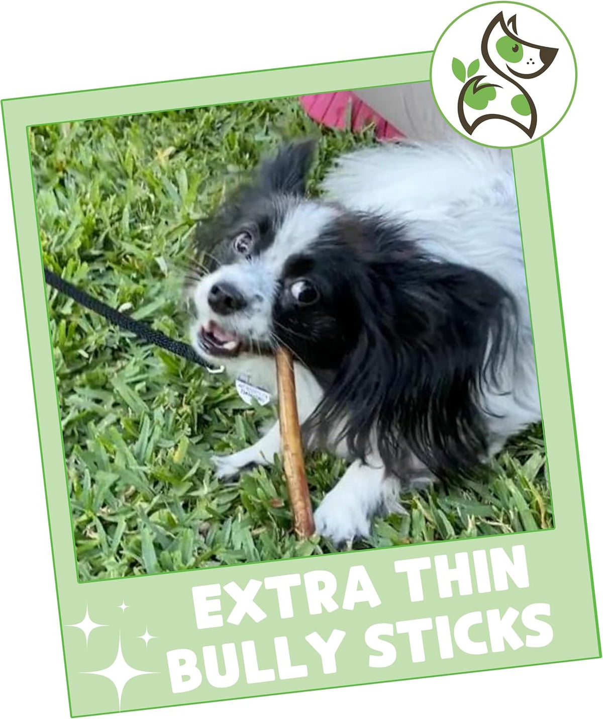 Nature Gnaws Extra Thin Bully Sticks for Small Dogs 5-6" (10 Count) - Long Lasting for Light Chewers and Puppi - view 5