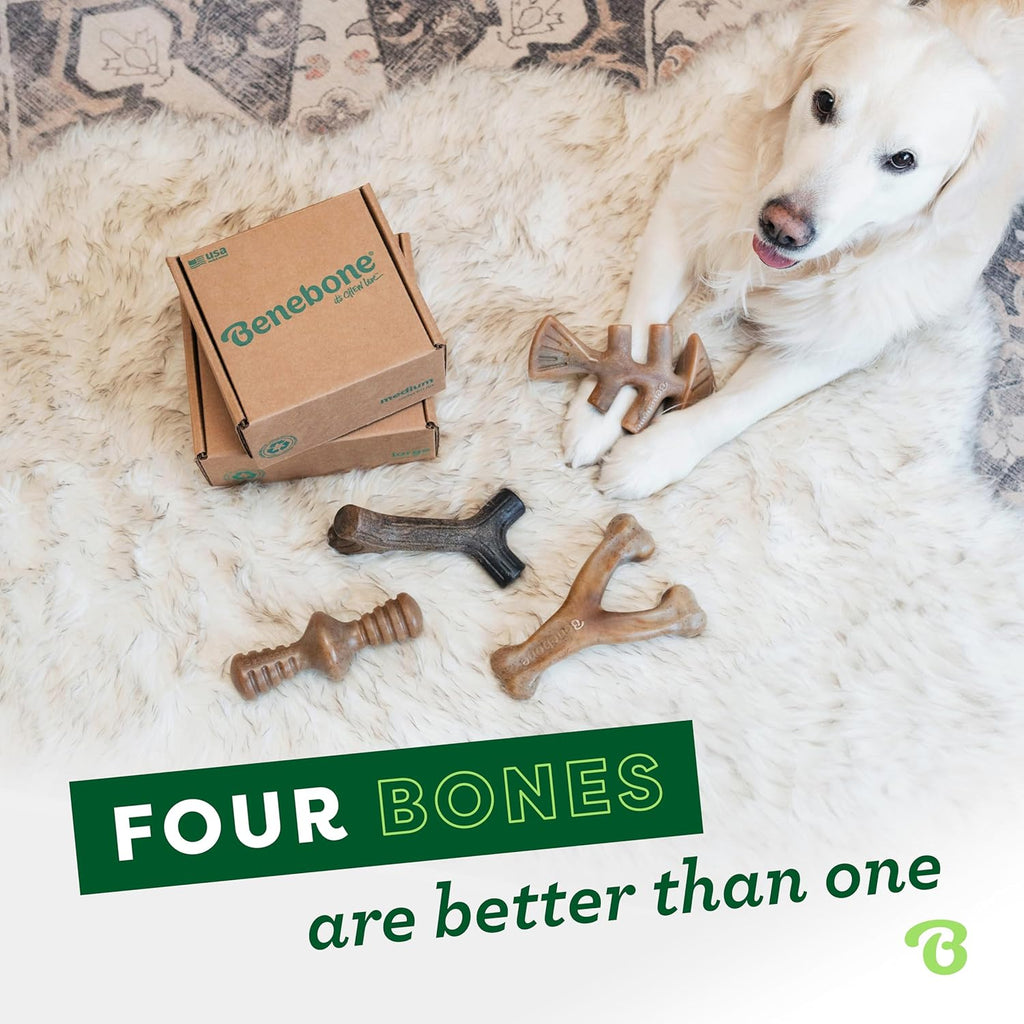 Benebone Large 4-Pack Dog Chew Toys for Aggressive Chewers, Made in USA, 90lbs and Under - view 4