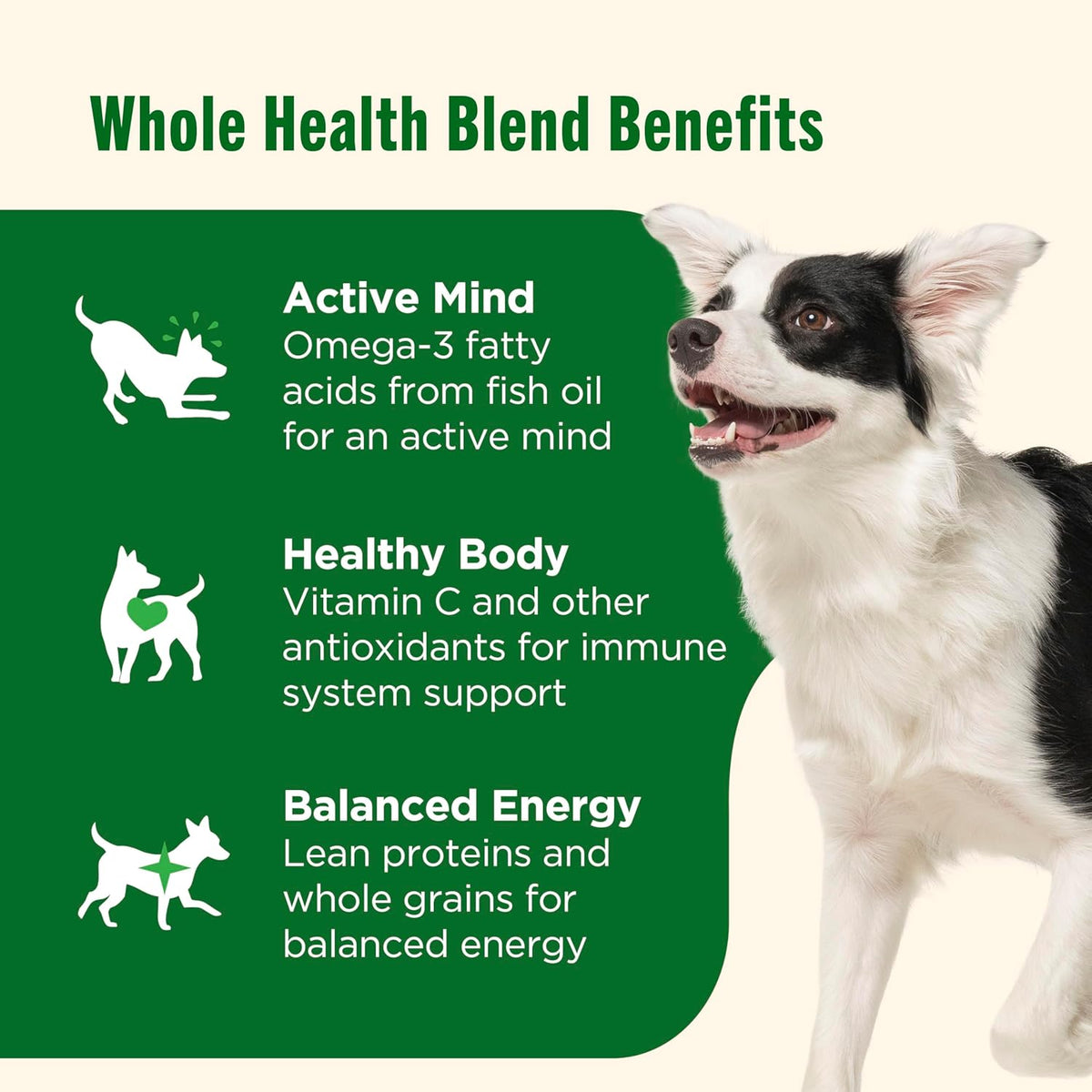 Nutrish Dry Dog Food Real Chicken & Veggies Recipe Whole Health Blend, 40 lb. Bag, (Rachael Ray) - view 4