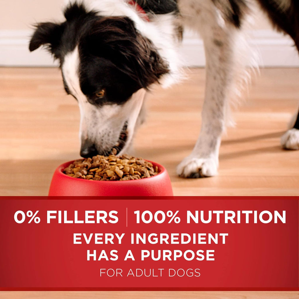 Purina ONE Dry Dog Food Lamb and Rice Formula - 16.5 lb. Bag - view 7
