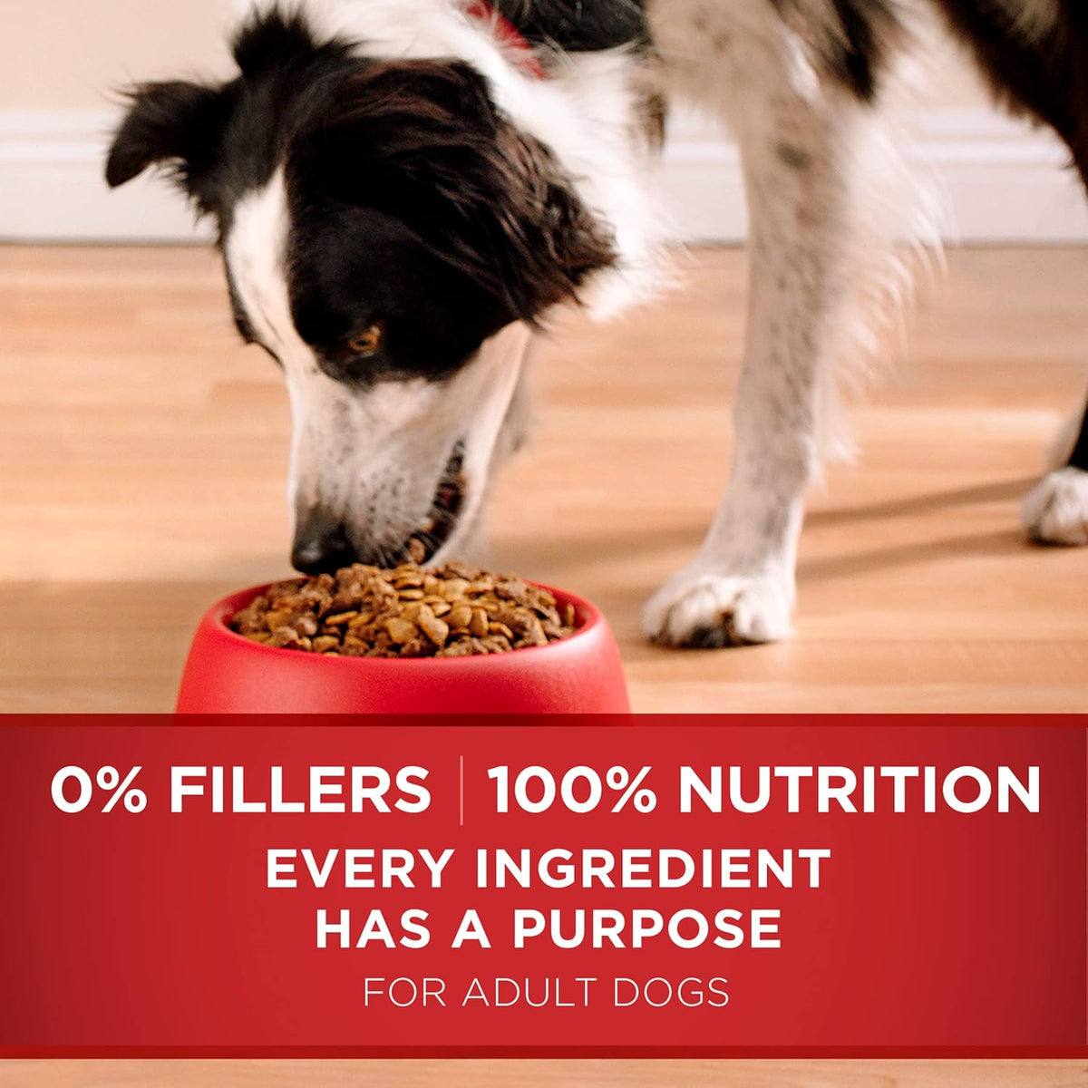 Purina ONE Dry Dog Food Lamb and Rice Formula - 16.5 lb. Bag - view 7
