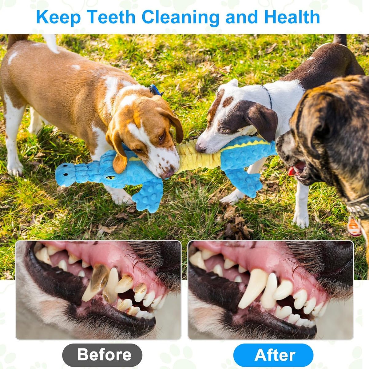 Homounter Dog Toys Cute Crocodile Squeaky Plush Pet Toy for Small to Large Breeds Interactive Chew Toy with Wh - view 5