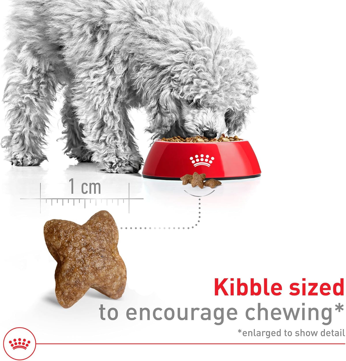 Royal Canin Size Health Nutrition Small Adult Dry Dog Food, 14 lb Bag - view 3