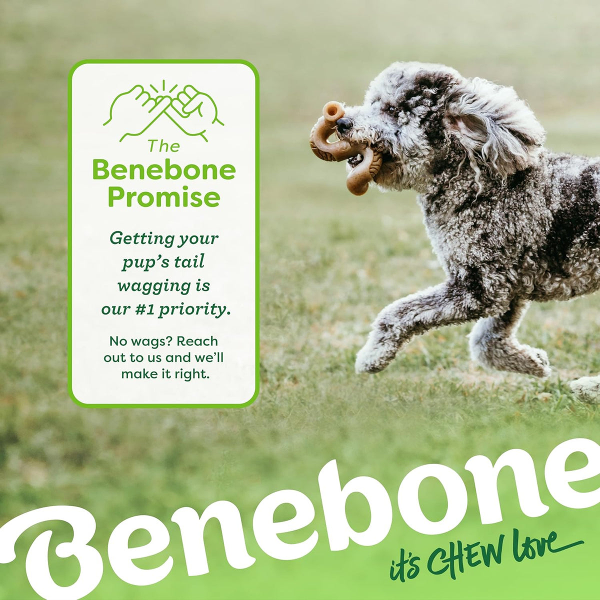 Benebone Tripe Bone Durable Dog Chew Toy for Aggressive Chewers, Real Tripe, Made in USA, Medium - view 6
