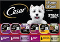 Cesar Wet Dog Food Steak Lovers Variety Pack, Adult, Wet Food for Dogs with Real Meat, 3.5 oz Easy Peel Trays,