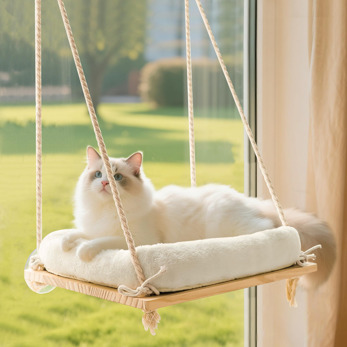 Cat Window Perch, Rustic Cat Hammock Bed with Solid Wood Seat 4 Heavy Duty Suction Cups, Plush Cushion, Indoor