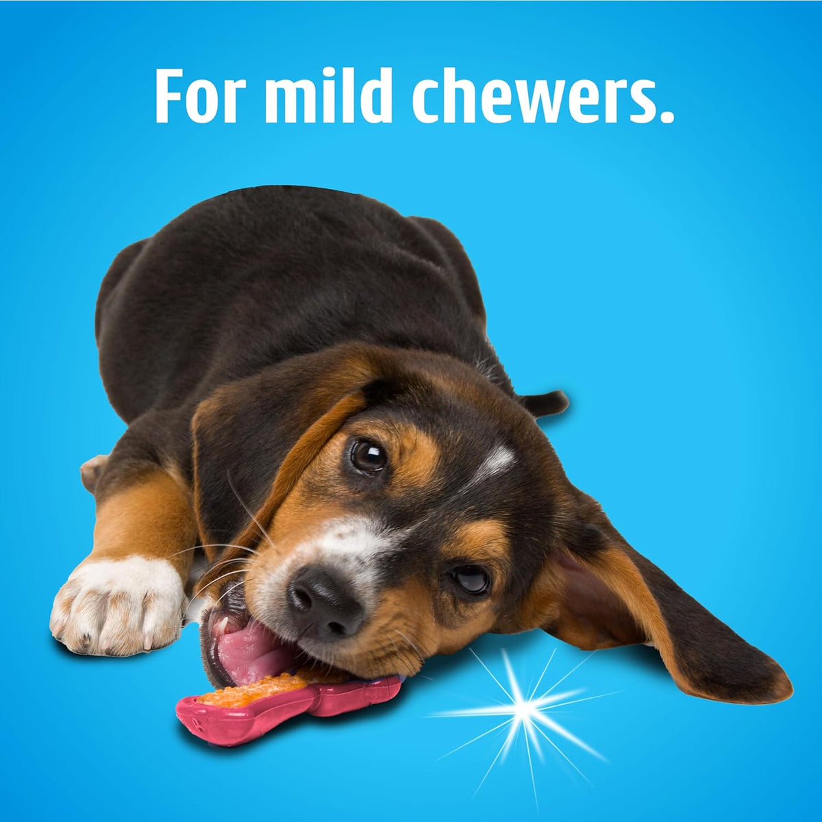 Hartz Chew 'n Clean Dental Duo Dog Treat & Chew Toy, Color Varies, Extra Small, 6 Count - view 5
