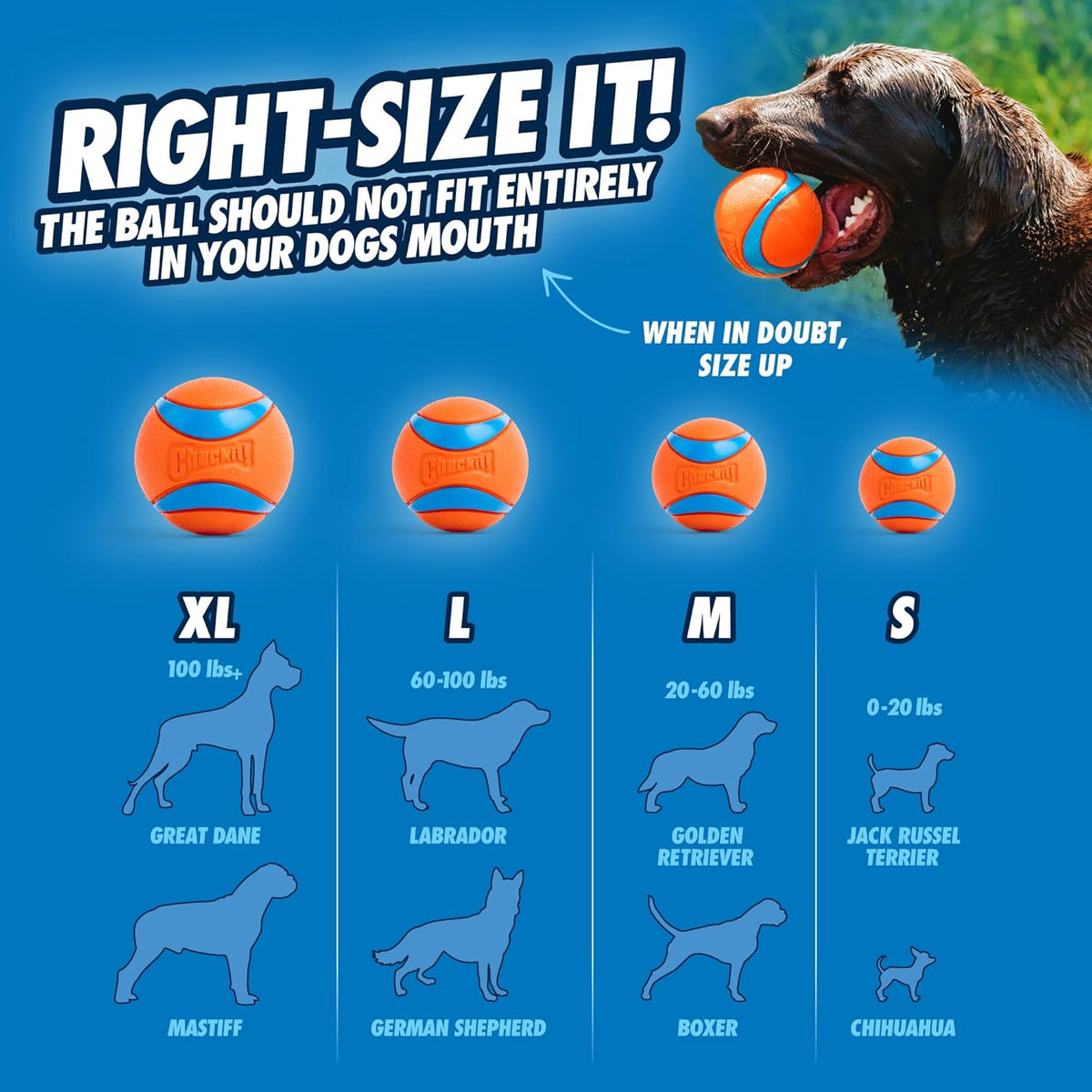 Chuckit! Dog Balls - Interactive Dog Toys, High-Bounce Fetch Ball, Ultra and Rugged Balls, Durable - Size Medi - view 4