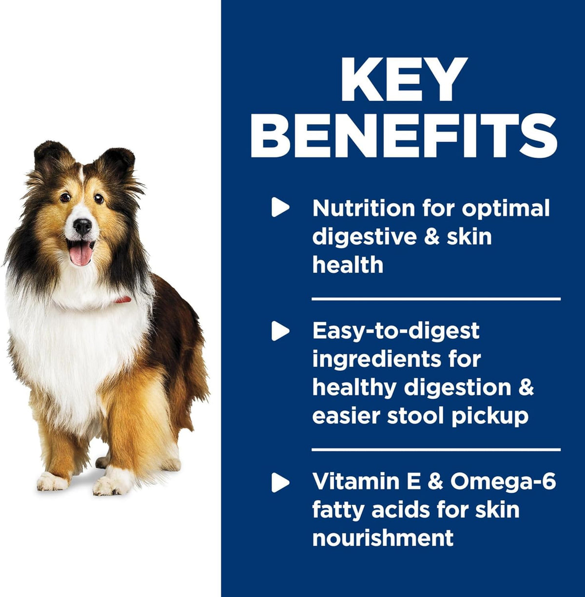 Hill's Science Diet Adult 1-6 Sensitive Stomach & Sensitive Skin Wet Dog Food, Tender Turkey & Rice Stew in Gr - view 5