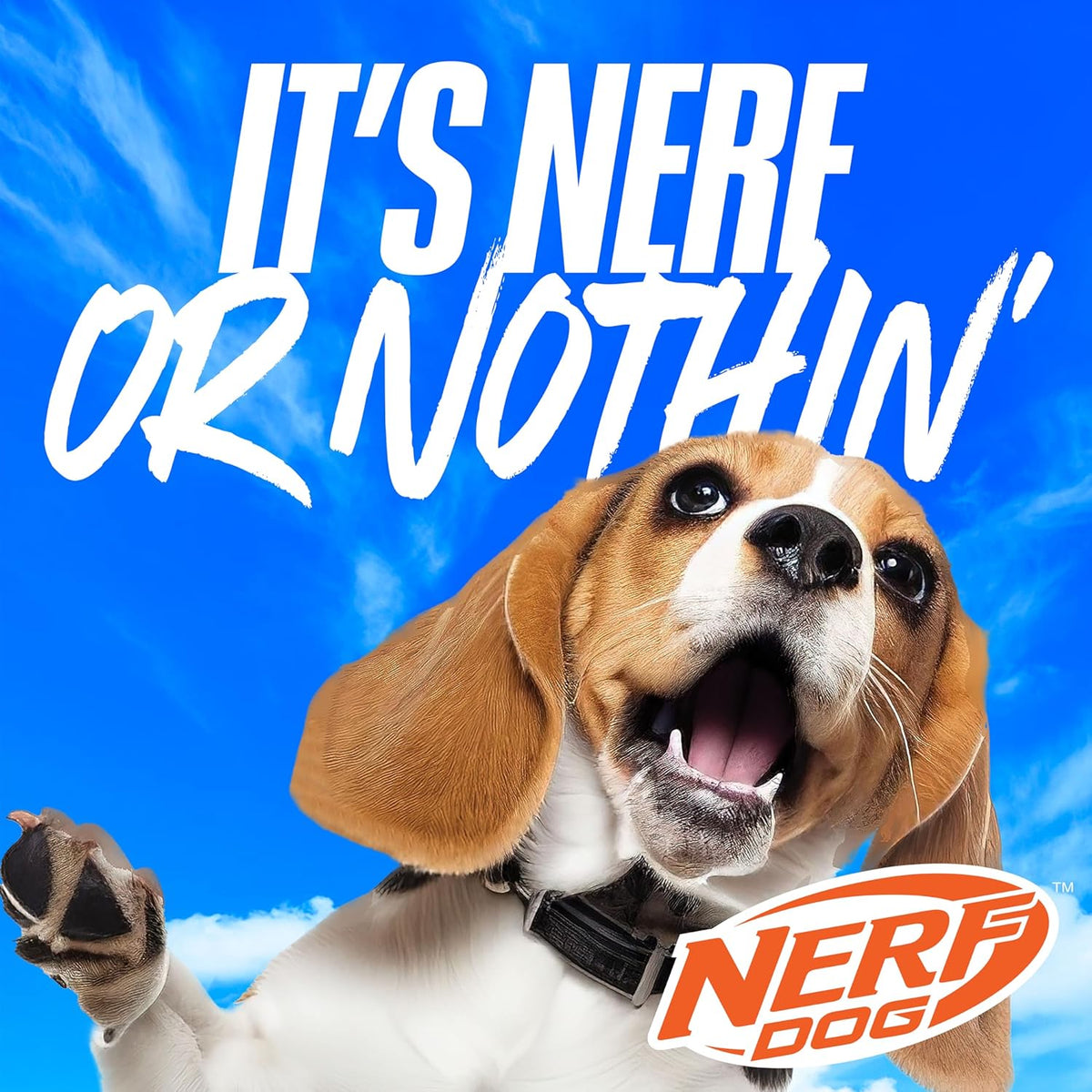 Nerf Dog 11.5in 3-Ring TPR Tug - Blue, Green & Orange - view 6