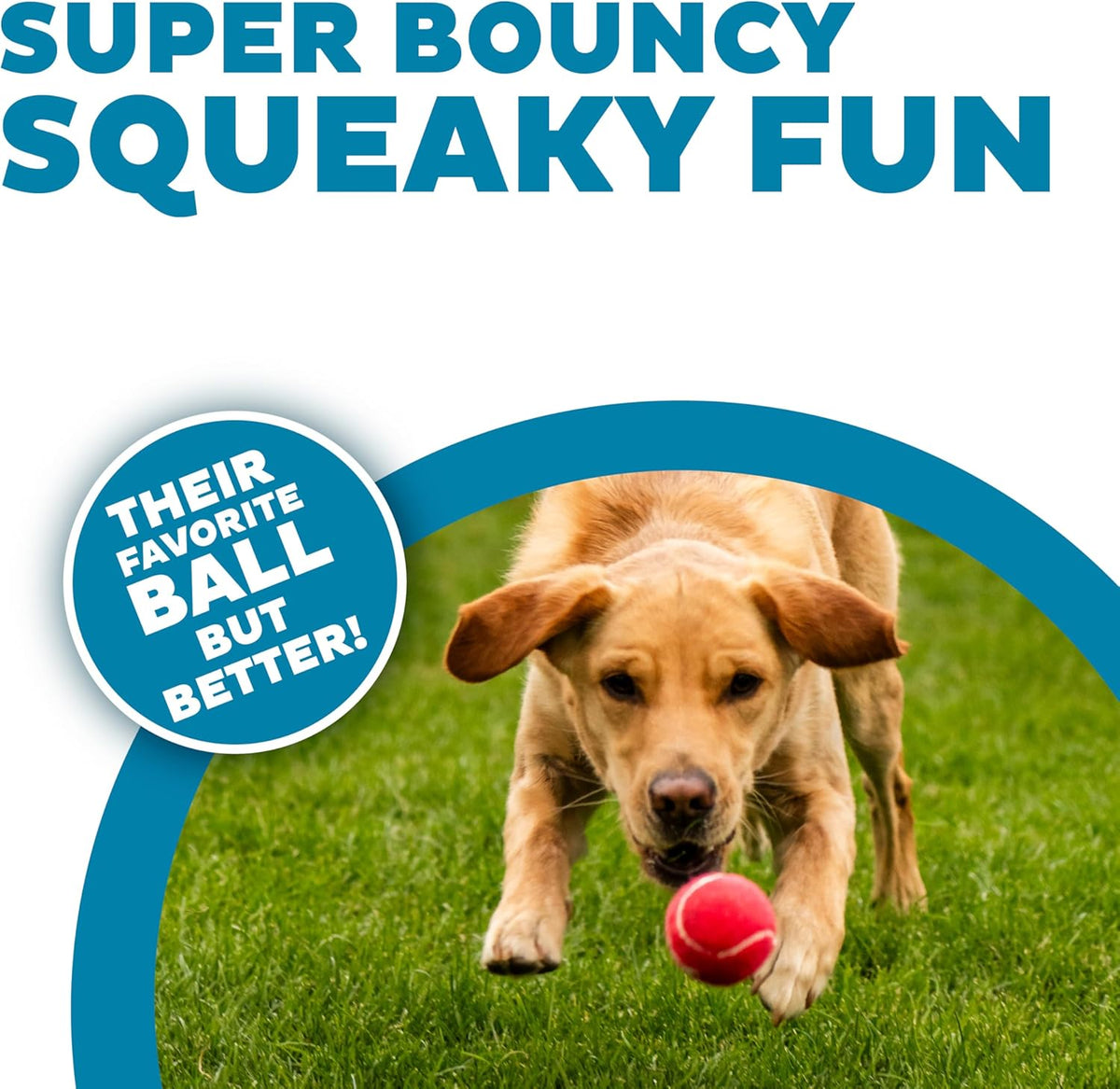 Outward Hound Squeaker Ballz – Squeaky Tennis Balls for Dogs Under 50 lbs, Interactive Dog Toy for Fetch & Tra - view 2
