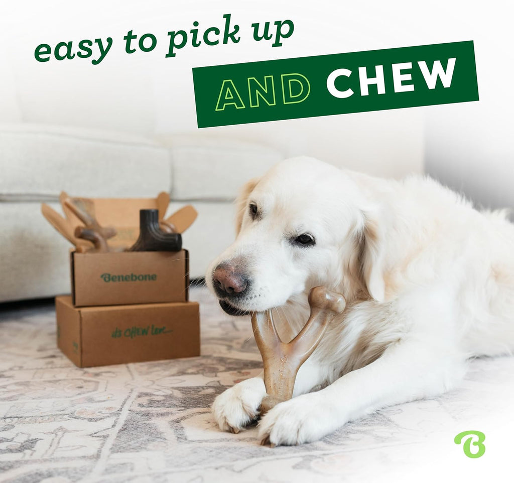 Benebone Large 4-Pack Dog Chew Toys for Aggressive Chewers, Made in USA, 90lbs and Under - view 2