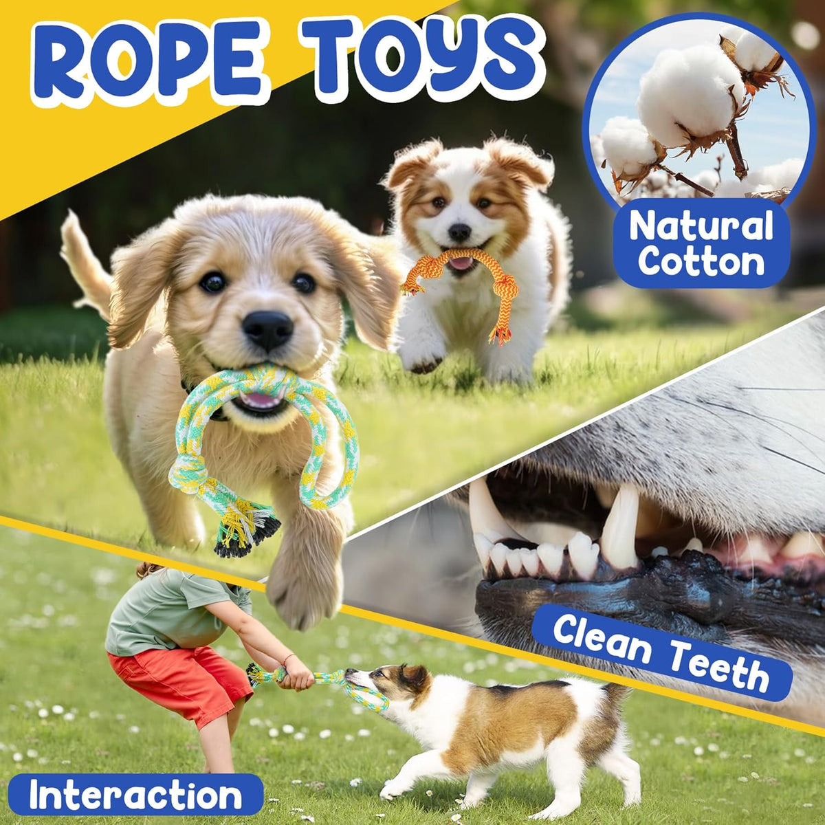 PatsFran Puppy Toys for Teething, 9 Pack Interactive Dog Toys for Small Dogs, Puppy Chew Toys for Boredom with - view 4