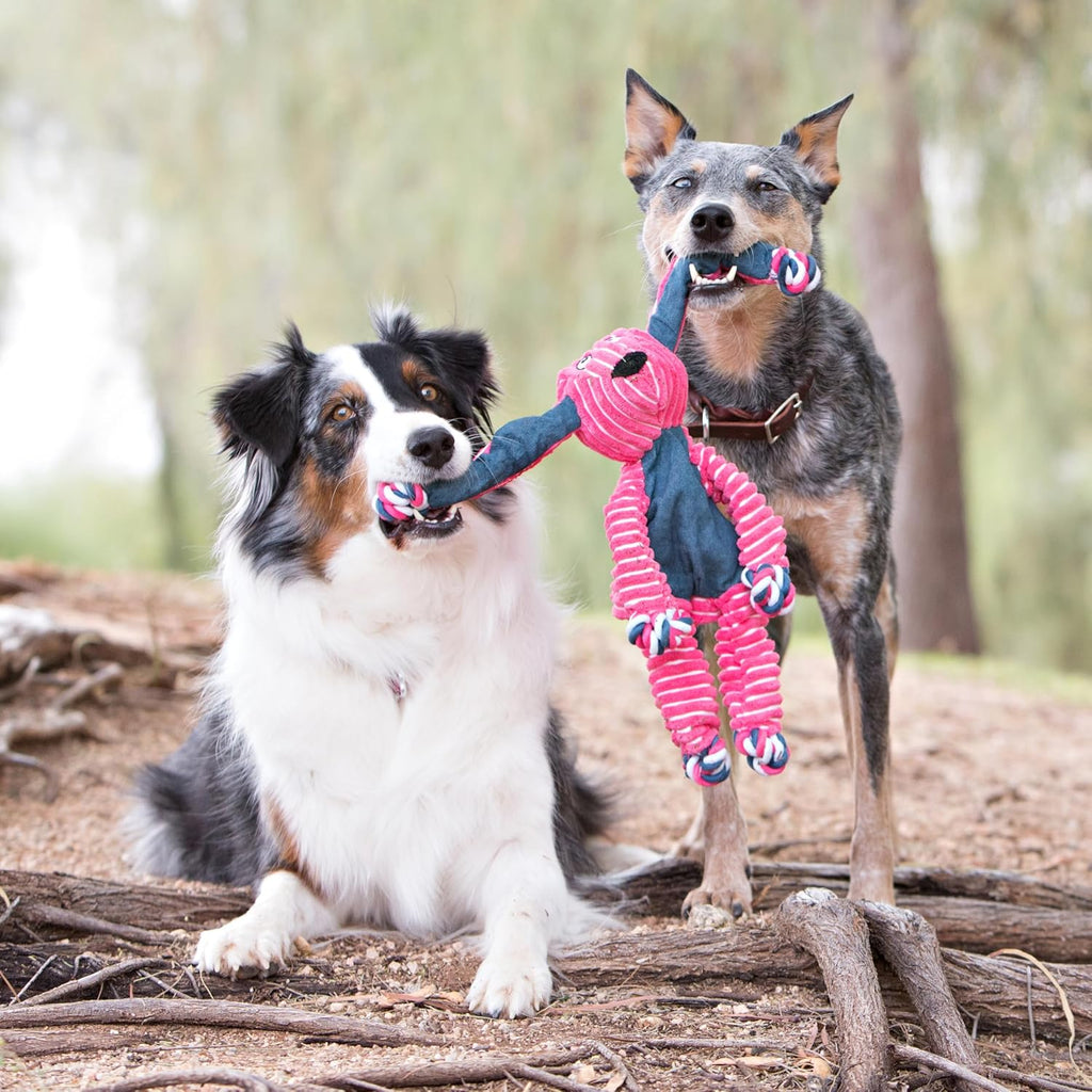 KONG Floppy Knots - Knotted Rope Dog Toy Entices Play - Tug Toy Satisfies Natural Instincts - Dog Supplies wit - view 4