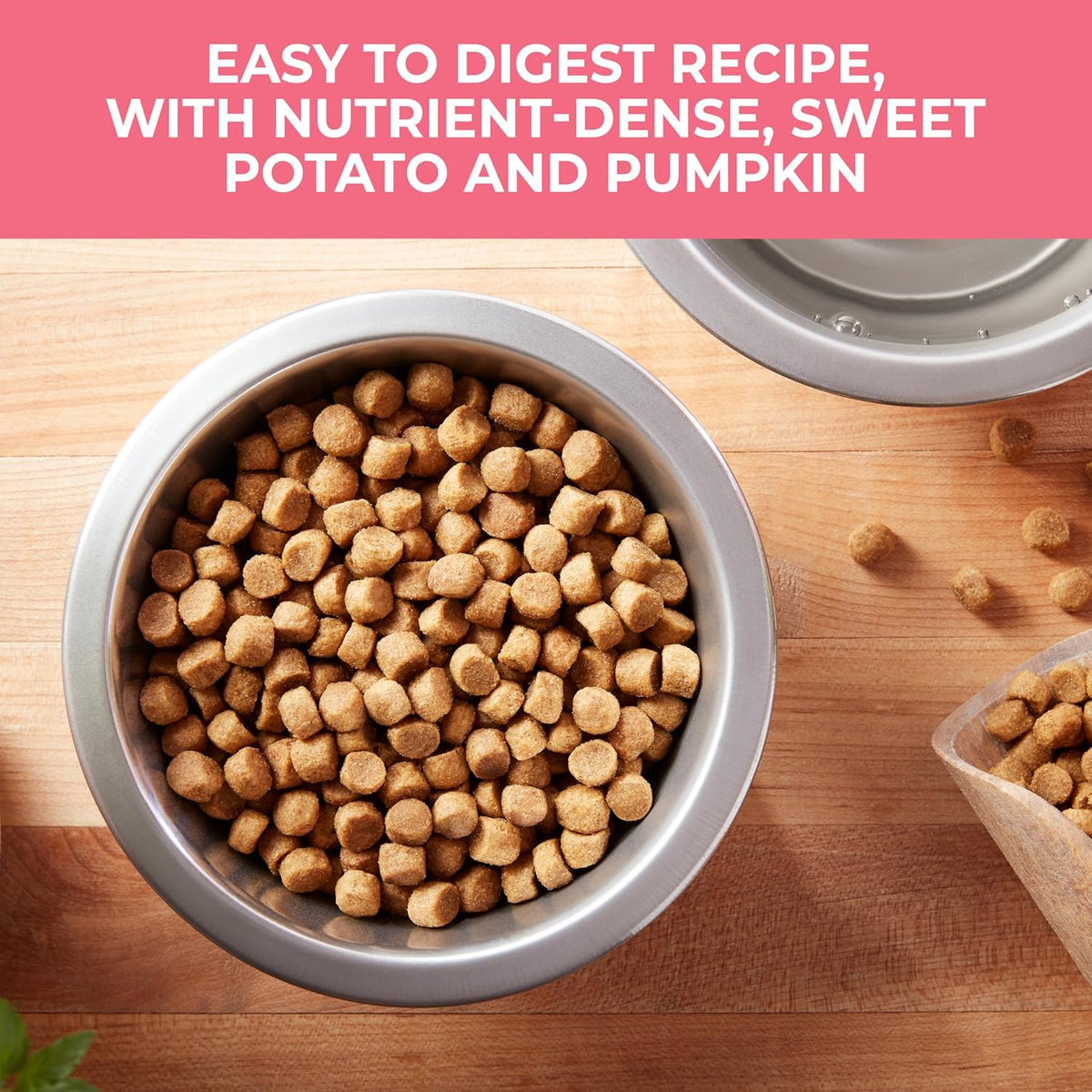 Nature’s Recipe Grain Free Dry Dog Food Salmon, Sweet Potato & Pumpkin Recipe, 24 lb. Bag - view 3