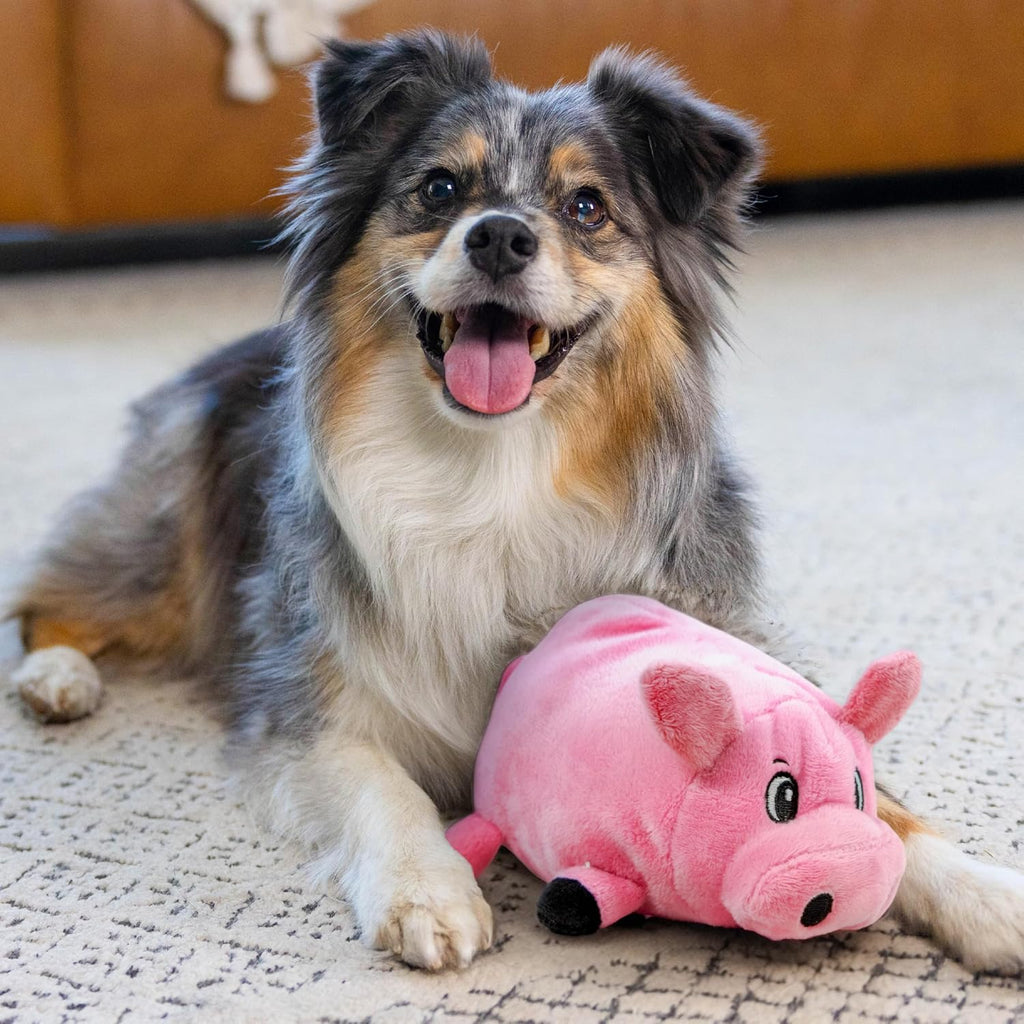 Outward Hound Fattiez Pig Plush Squeaky Dog Toy, Small - view 5