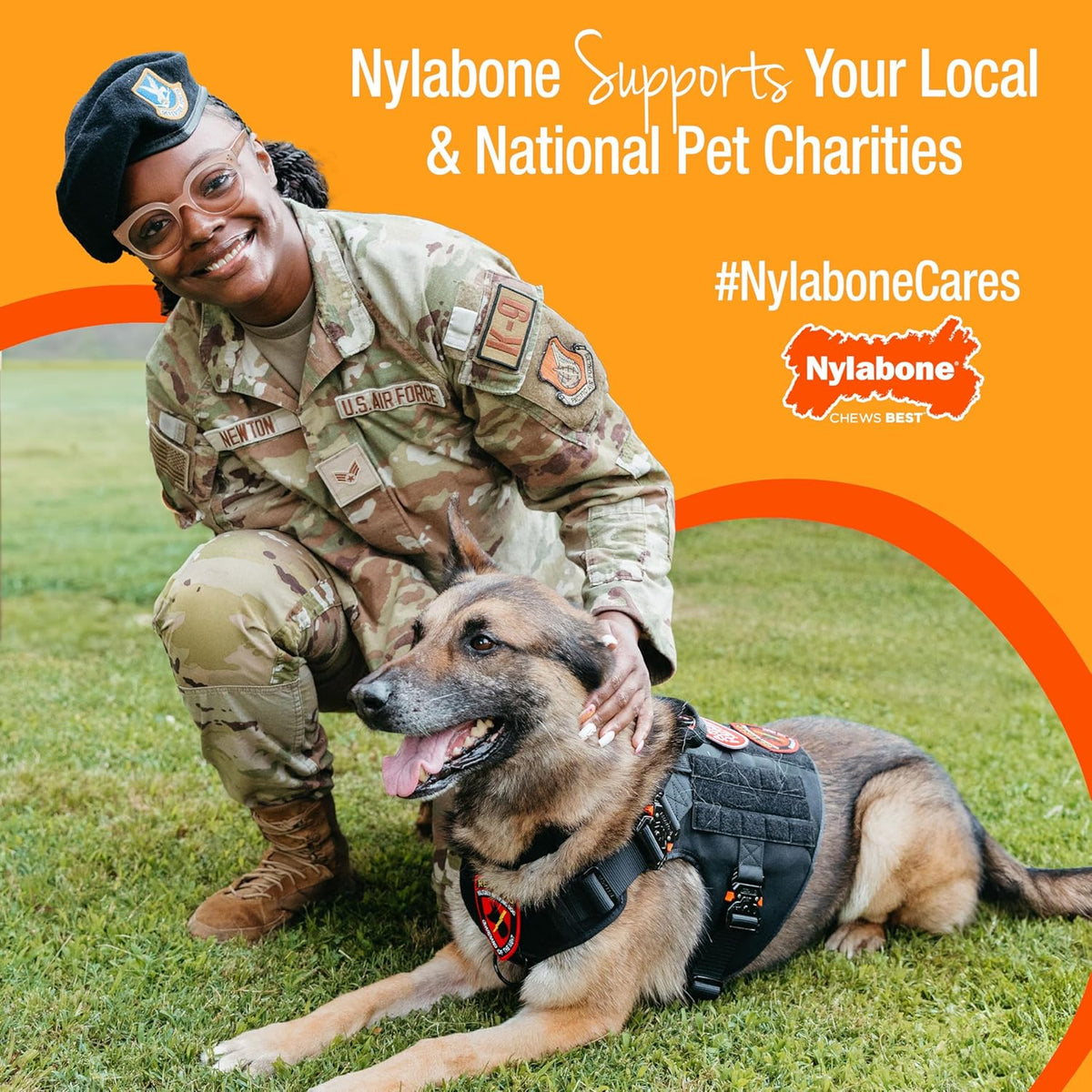 Nylabone New Puppy Starter Kit, Chew Toys & Natural Chew Treat for Puppies, Puppy Enrichment Teething Toys, Bl - view 8
