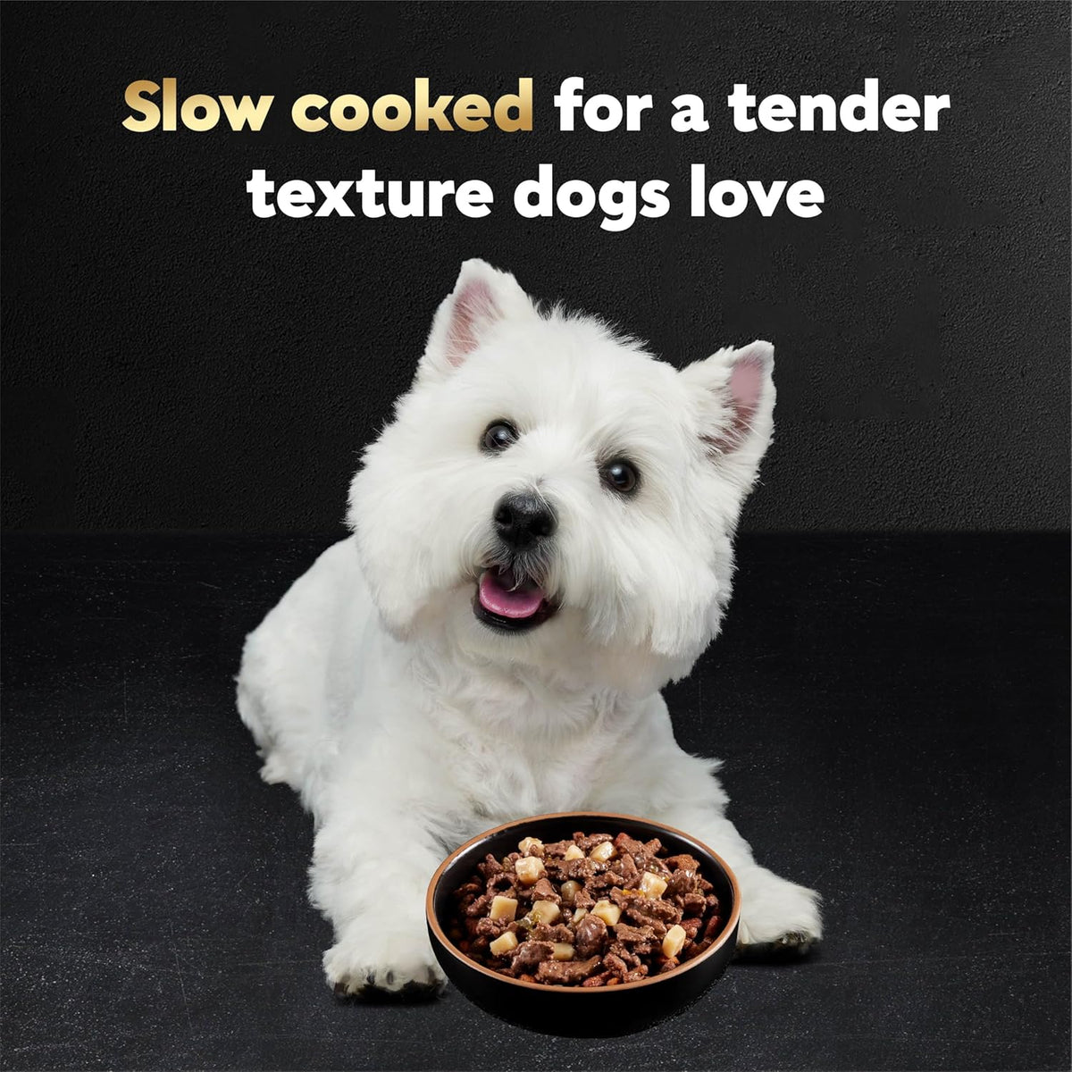 Cesar Home Delights & Classic Loaf in Sauce Adult Wet Dog Food, Breakfast & Dinner Variety Pack, Wet Food for  - view 3