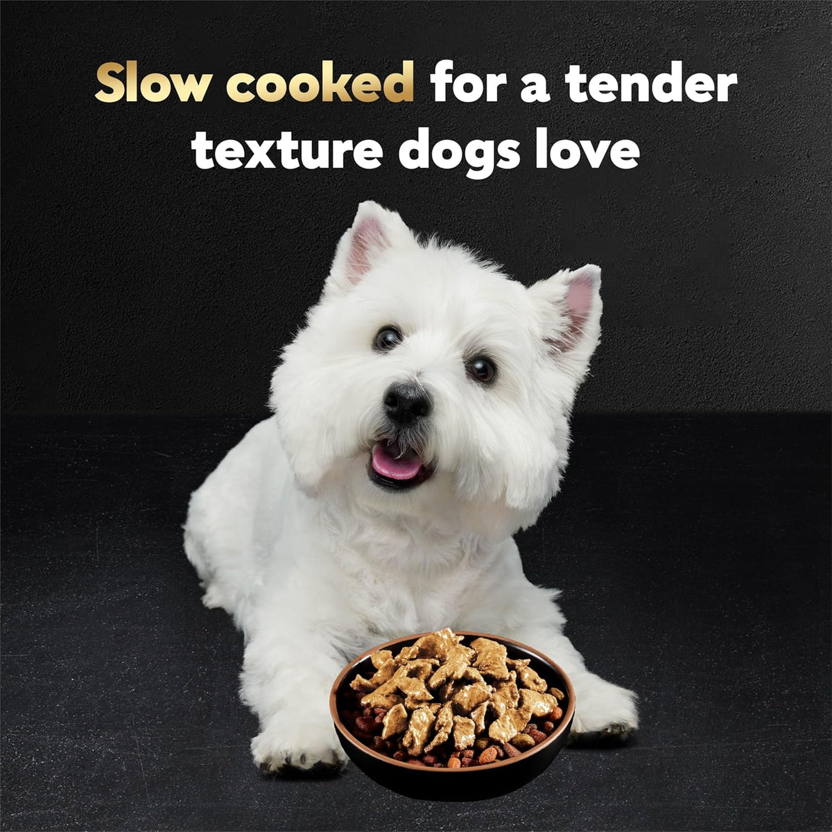 Cesar Filets in Gravy Wet Dog Food Rotisserie Chicken Flavor, Filet Mignon Flavor, and Wood-Grilled Chicken Va - view 3