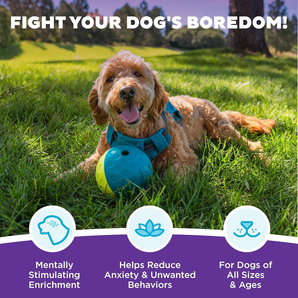 Outward Hound by Nina Ottosson Treat Tumble – Interactive Food-Dispensing Dog Puzzle Ball, Level 1 Beginner, S - view 3