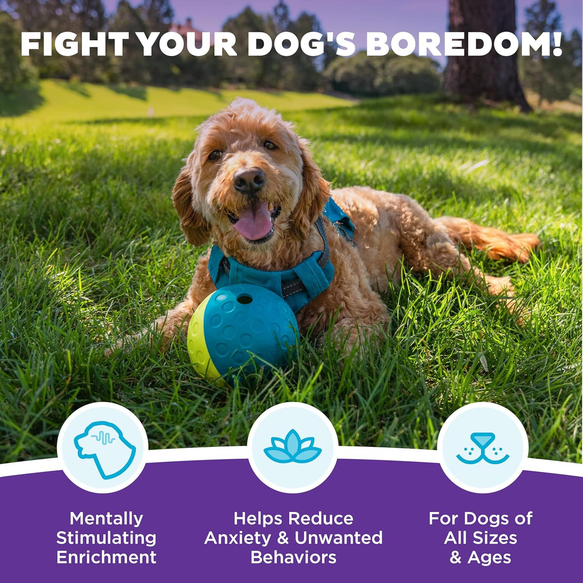 Outward Hound by Nina Ottosson Treat Tumble – Interactive Food-Dispensing Dog Puzzle Ball, Level 1 Beginner, S - view 3