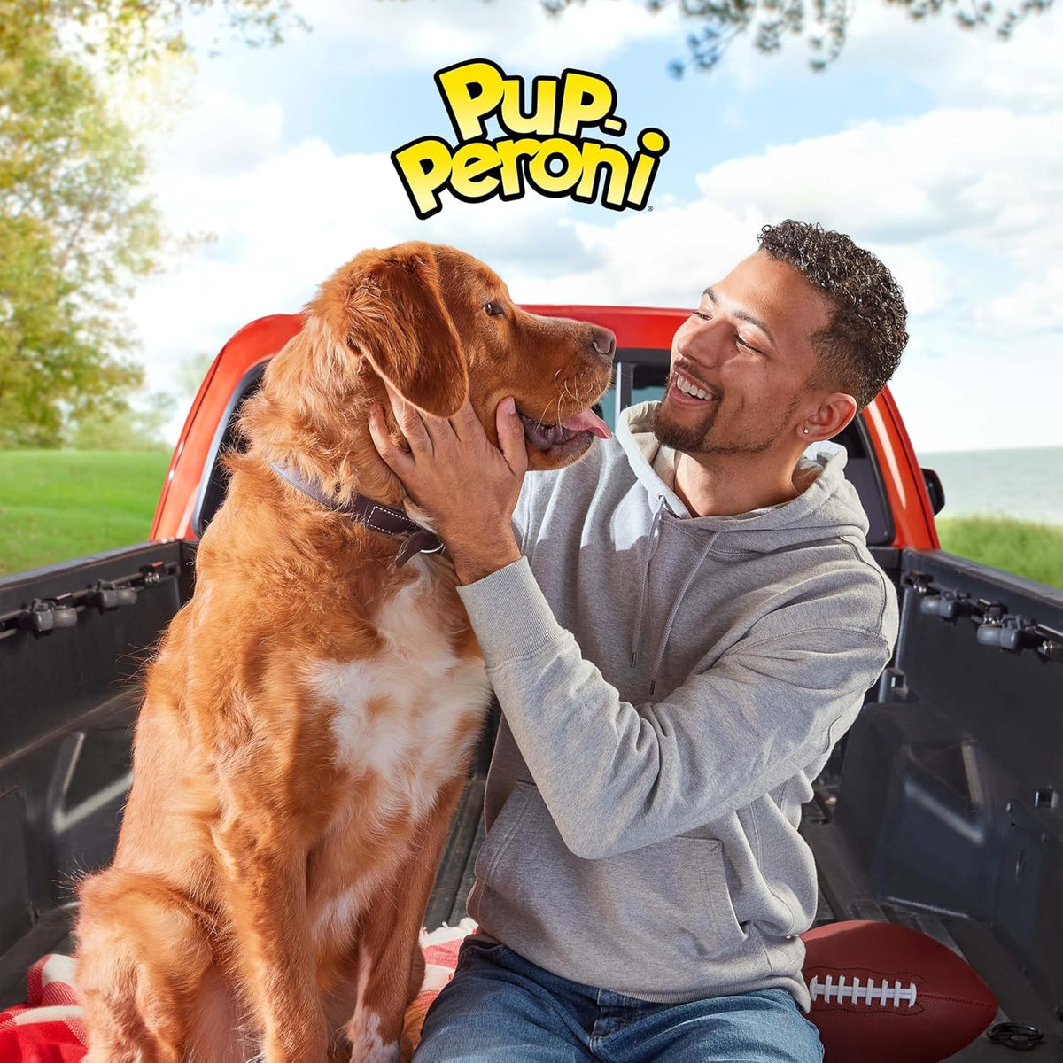 Pup-Peroni Dog Treats, Original Beef Flavor, 38 Ounce, Made with Real Beef - view 6