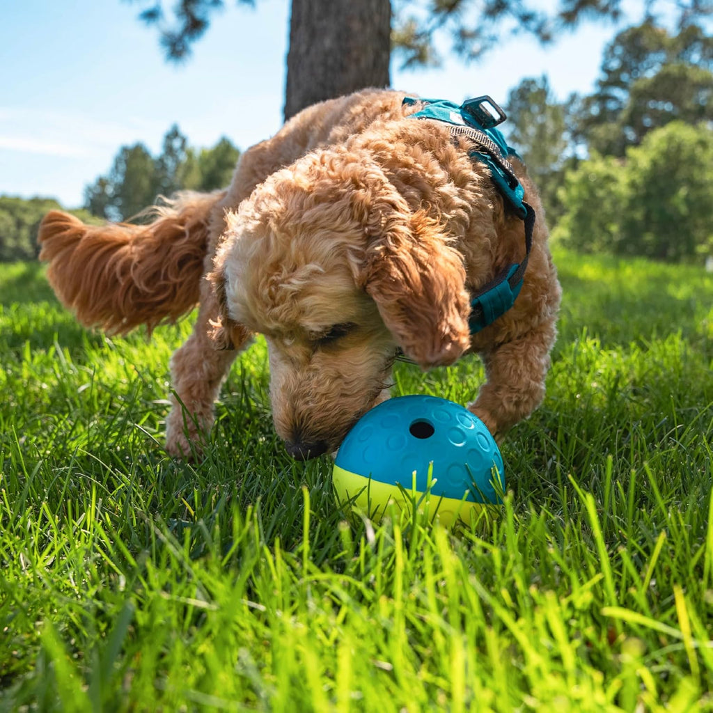 Outward Hound by Nina Ottosson Treat Tumble – Interactive Food-Dispensing Dog Puzzle Ball, Level 1 Beginner, S - view 8