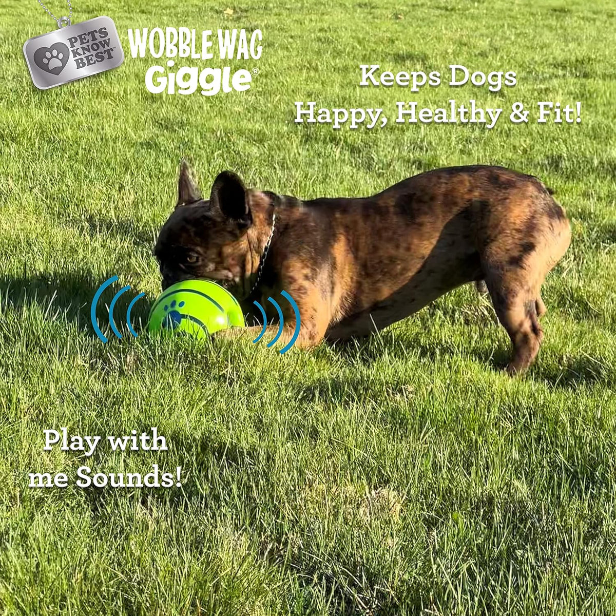 Wobble Wag Giggle Ball | Rolling Enrichment Toy for Fun Playtime, Interactive Play for Indoor or Outdoor, Keep - view 4