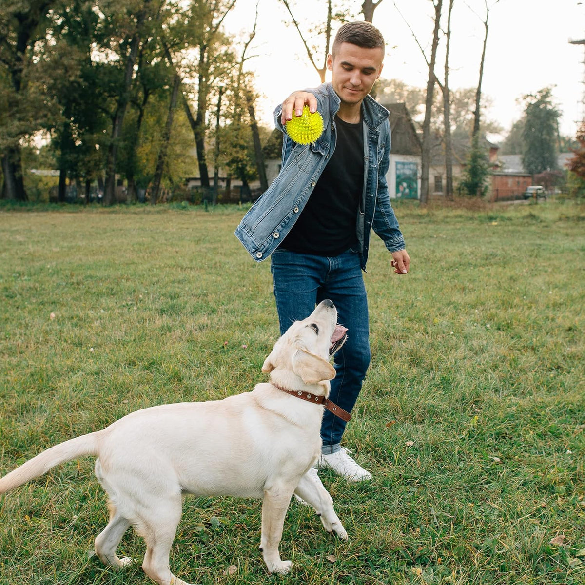 VITEVER 3.5” Squeaky Dog Toy Balls (6 Colors) Puppy Chew Toys for Teething, BPA Free Non-Toxic, Spikey Dog Bal - view 5
