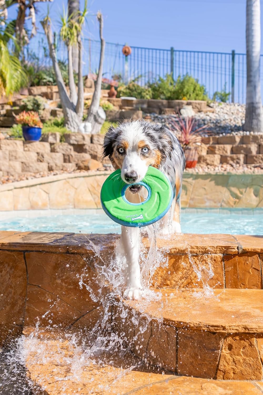 Chuckit! Amphibious ZipFlight Floating and Flying Disc Dog Toy, Medium (8.5"), Assorted Colors (Orange And Blu - view 2