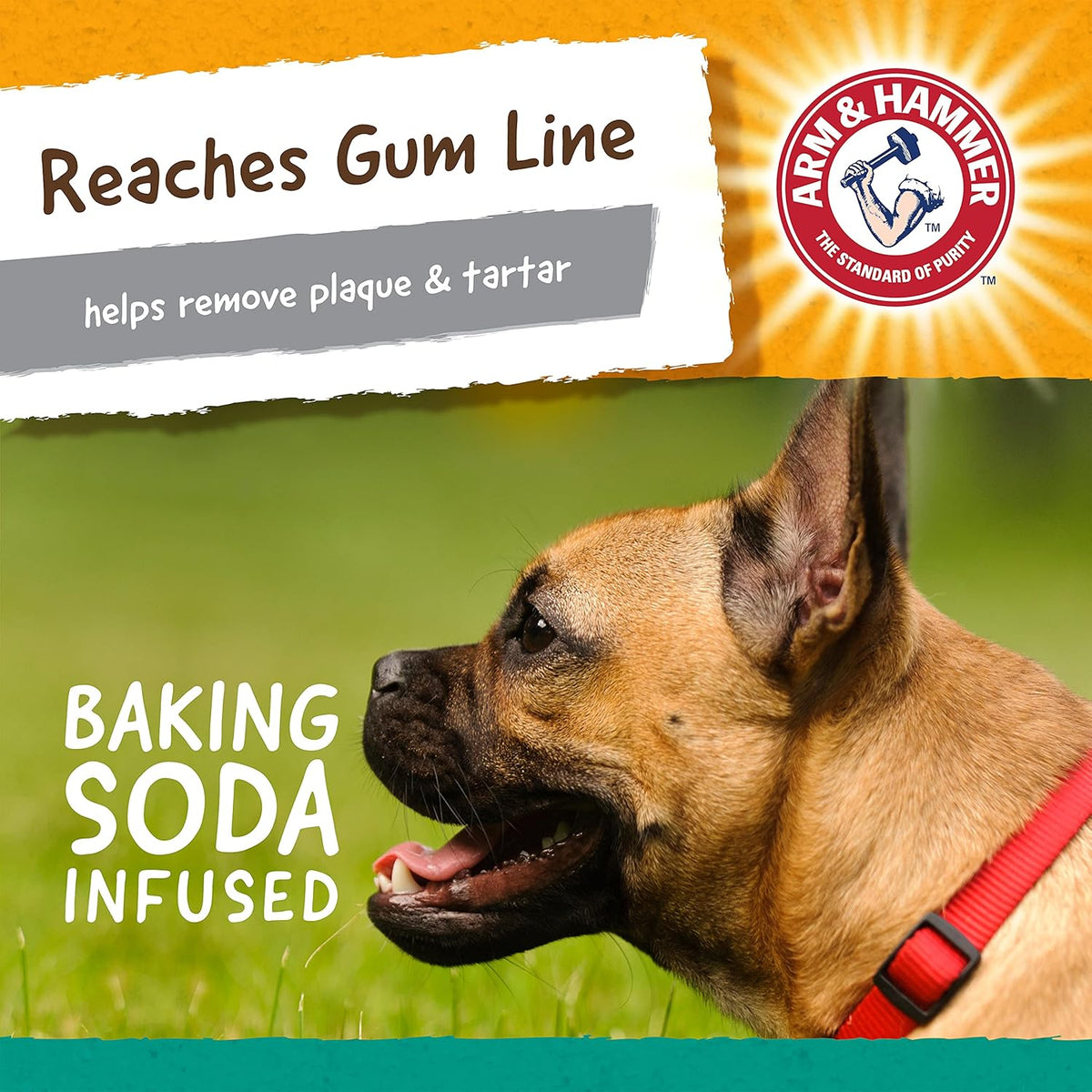 Arm & Hammer Nubbies T-Bone Dental Dog Chew Toys, Peanut Butter Flavor - Durable Nylon Chewing Toys for Dogs,  - view 5
