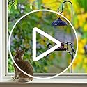 COCONUT 62" Shepherds Hooks for Outdoor, Bird Feeder Pole with 5 Prong Base, Adjustable Height Shepherds Hook  - view 8