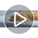 LE SURE Premium Cooling Blankets for Large Dogs - Washable Dog Cooling Throw Blanket with Q-MAX>0.4，Durable Se - view 8